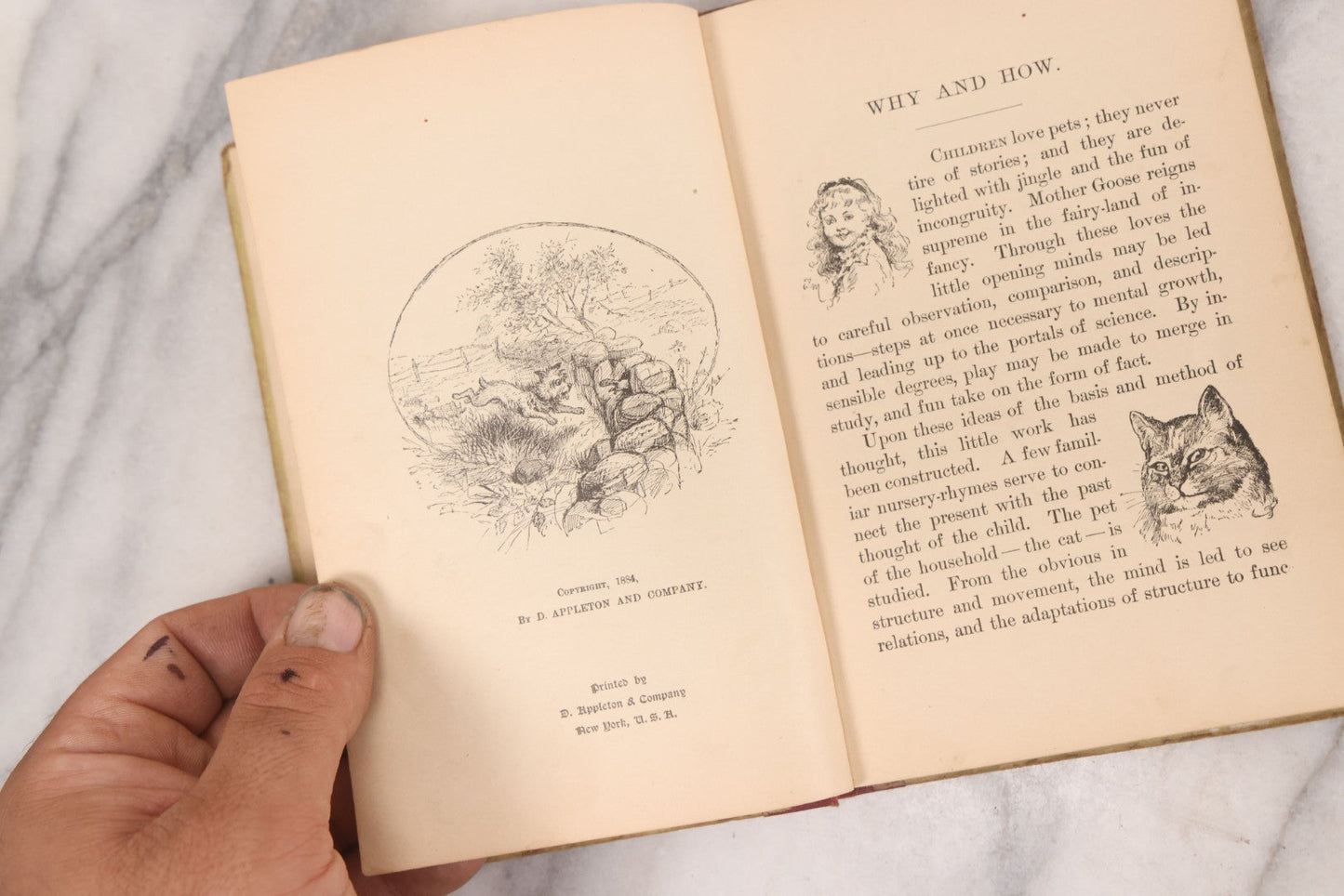 Lot 056 - Pair Of Antique Illustrated Children's Books By James Johonnot, Including "Book Of Cats And Dogs (1884) And "Neighbors With Wings And Fins" (1885), American Book Company, Publishers