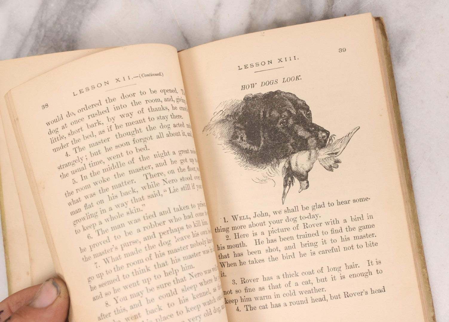 Lot 056 - Pair Of Antique Illustrated Children's Books By James Johonnot, Including "Book Of Cats And Dogs (1884) And "Neighbors With Wings And Fins" (1885), American Book Company, Publishers