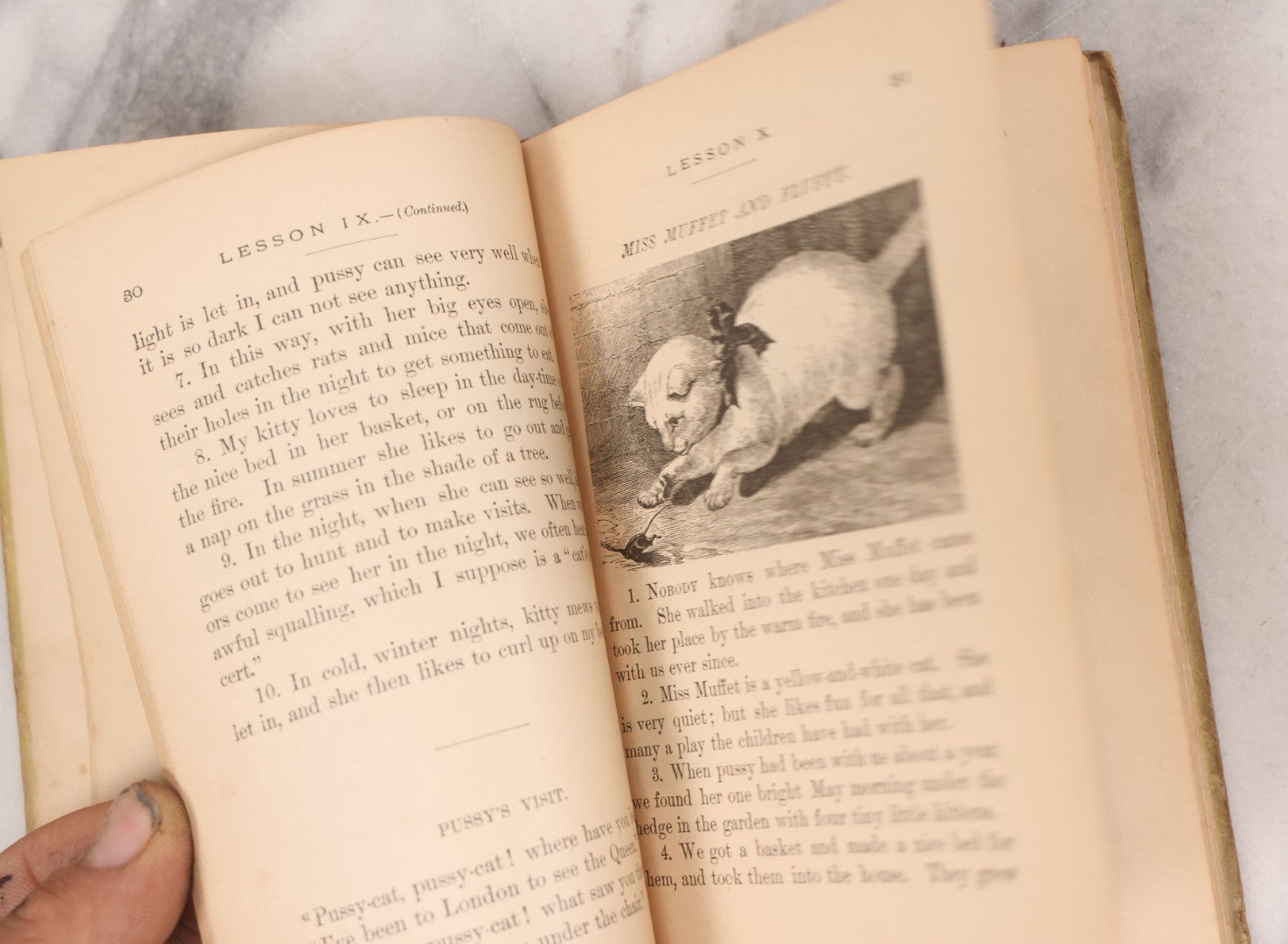 Lot 056 - Pair Of Antique Illustrated Children's Books By James Johonnot, Including "Book Of Cats And Dogs (1884) And "Neighbors With Wings And Fins" (1885), American Book Company, Publishers