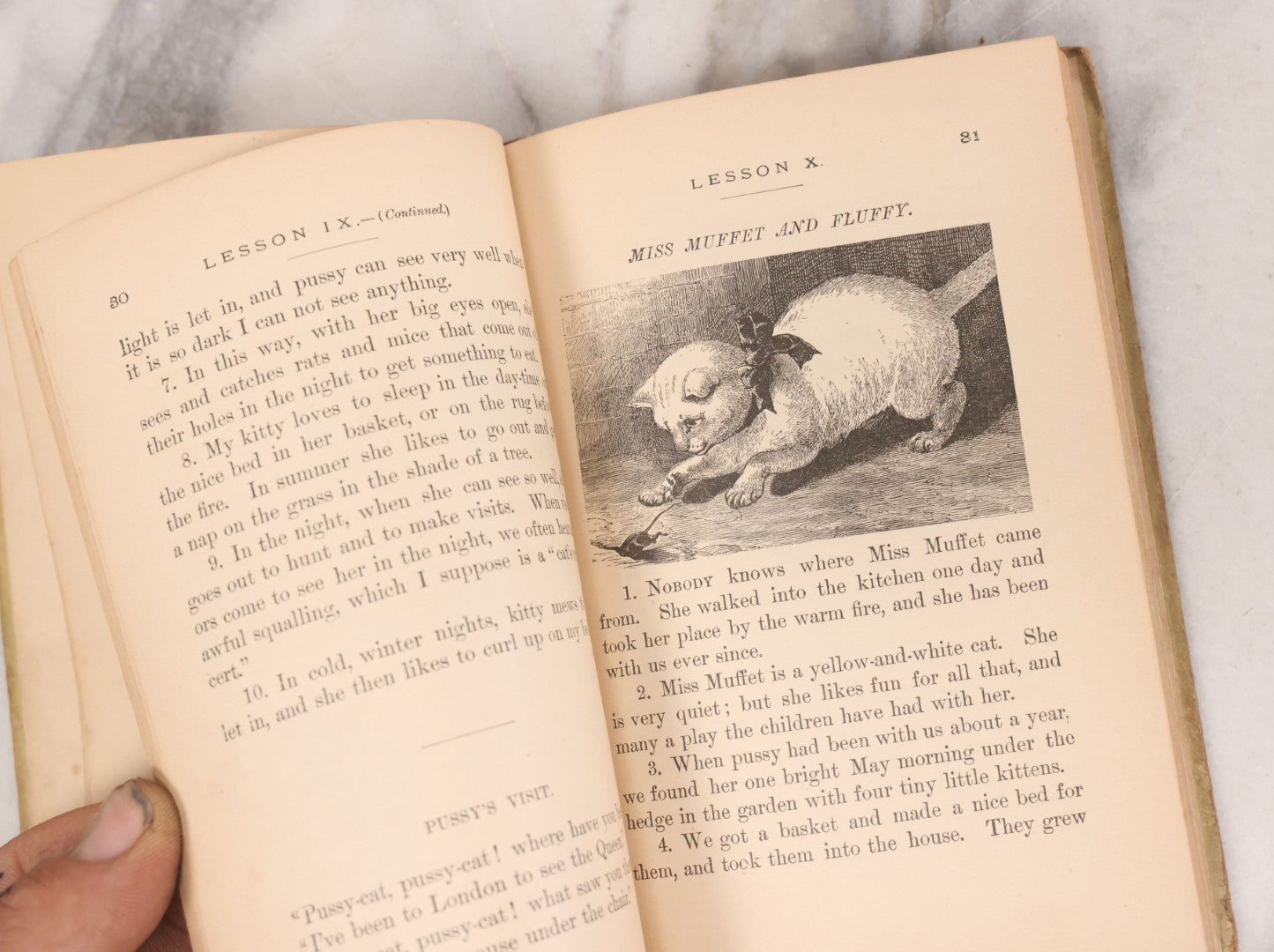 Lot 056 - Pair Of Antique Illustrated Children's Books By James Johonnot, Including "Book Of Cats And Dogs (1884) And "Neighbors With Wings And Fins" (1885), American Book Company, Publishers