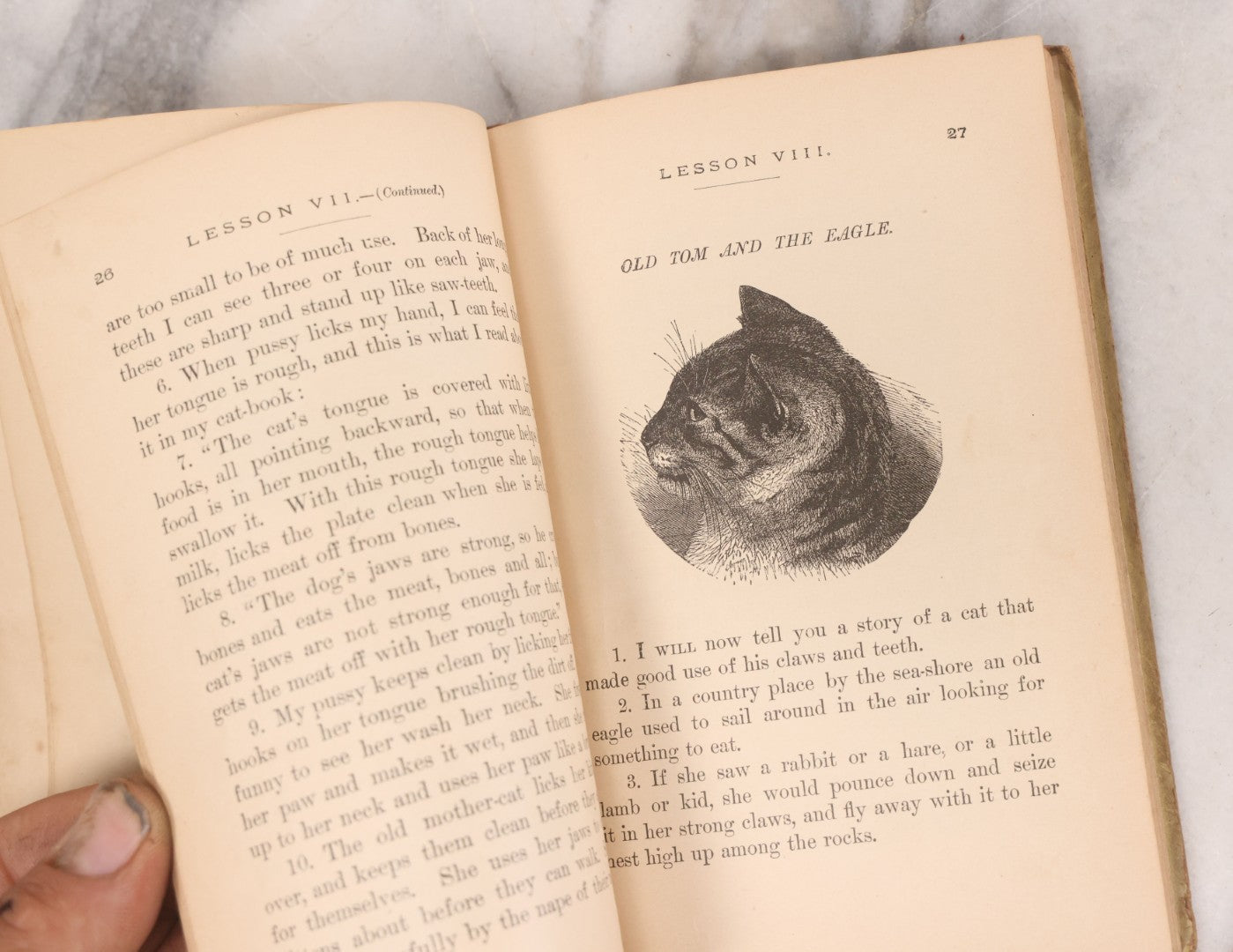 Lot 056 - Pair Of Antique Illustrated Children's Books By James Johonnot, Including "Book Of Cats And Dogs (1884) And "Neighbors With Wings And Fins" (1885), American Book Company, Publishers