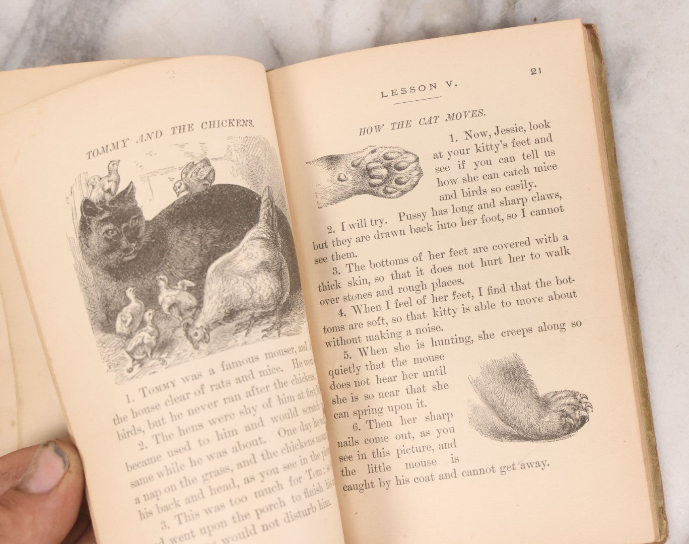 Lot 056 - Pair Of Antique Illustrated Children's Books By James Johonnot, Including "Book Of Cats And Dogs (1884) And "Neighbors With Wings And Fins" (1885), American Book Company, Publishers