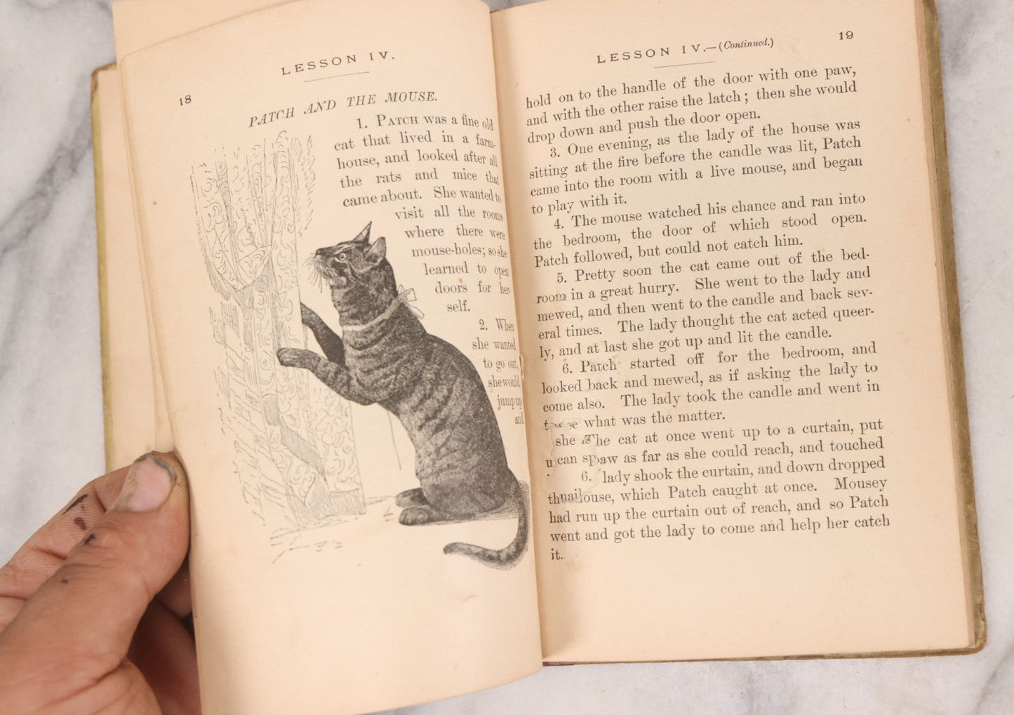 Lot 056 - Pair Of Antique Illustrated Children's Books By James Johonnot, Including "Book Of Cats And Dogs (1884) And "Neighbors With Wings And Fins" (1885), American Book Company, Publishers