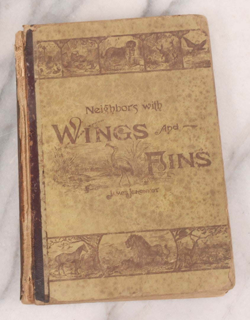 Lot 056 - Pair Of Antique Illustrated Children's Books By James Johonnot, Including "Book Of Cats And Dogs (1884) And "Neighbors With Wings And Fins" (1885), American Book Company, Publishers