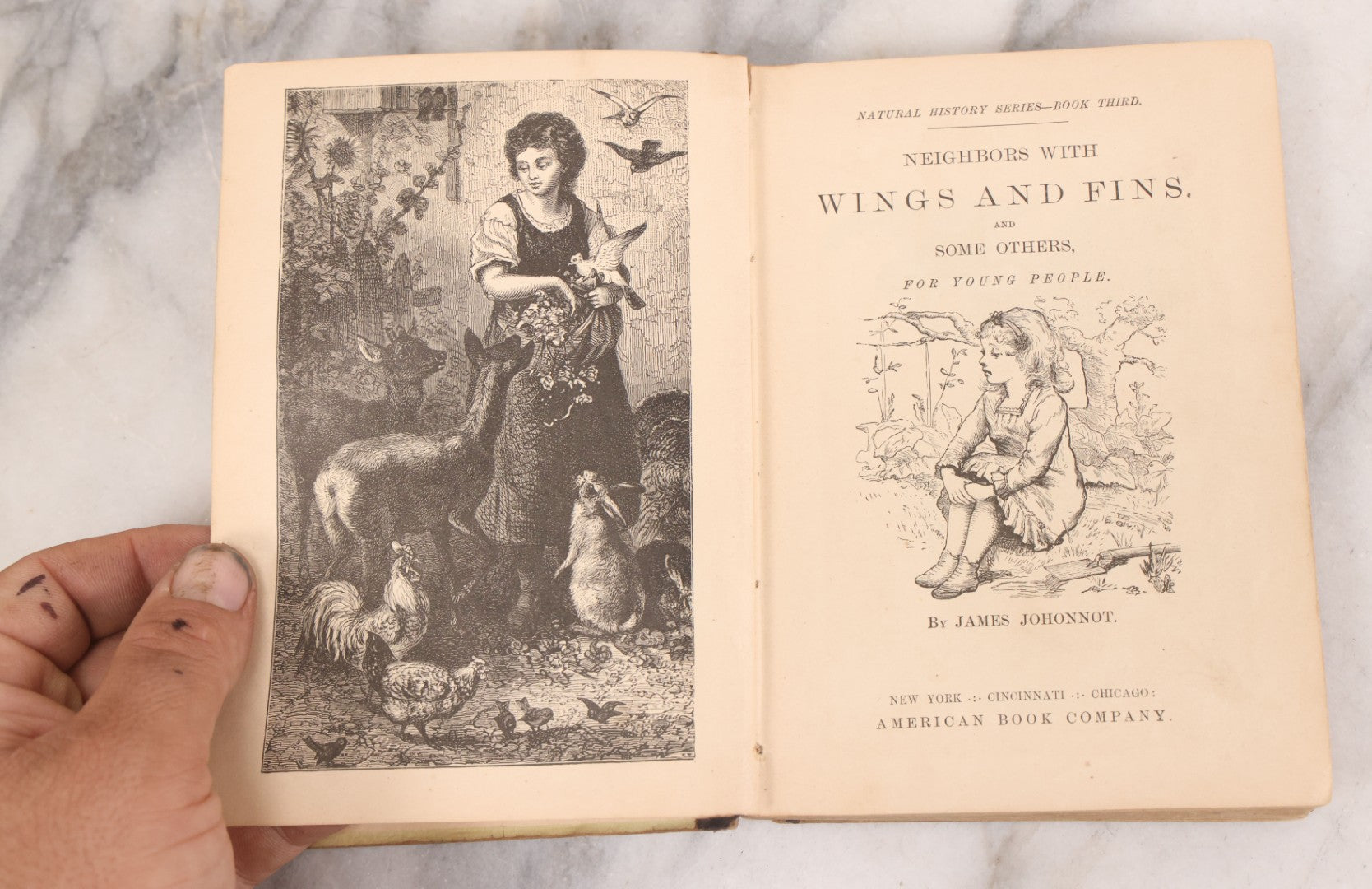 Lot 056 - Pair Of Antique Illustrated Children's Books By James Johonnot, Including "Book Of Cats And Dogs (1884) And "Neighbors With Wings And Fins" (1885), American Book Company, Publishers