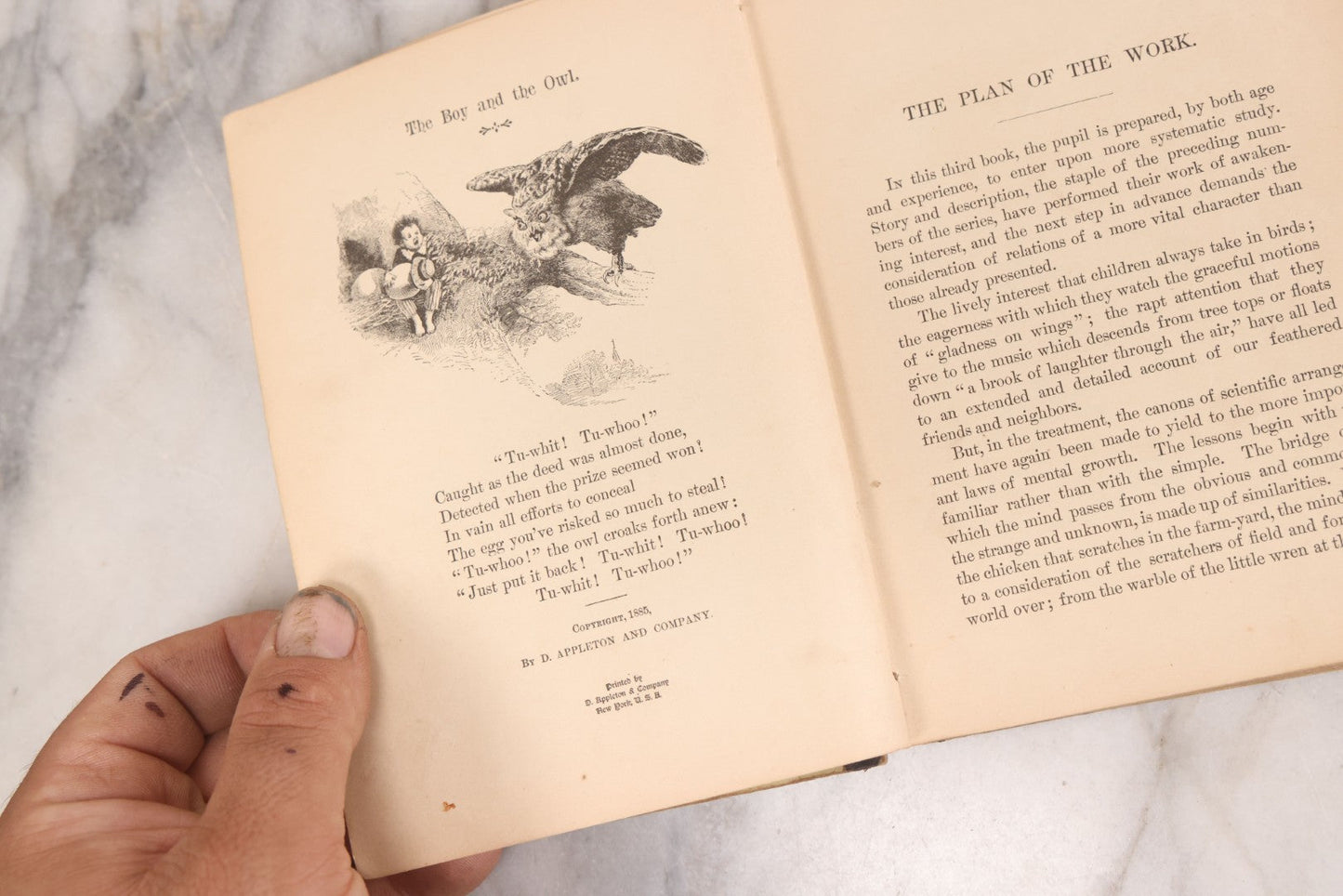 Lot 056 - Pair Of Antique Illustrated Children's Books By James Johonnot, Including "Book Of Cats And Dogs (1884) And "Neighbors With Wings And Fins" (1885), American Book Company, Publishers