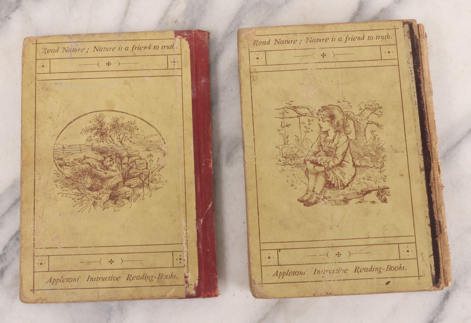 Lot 056 - Pair Of Antique Illustrated Children's Books By James Johonnot, Including "Book Of Cats And Dogs (1884) And "Neighbors With Wings And Fins" (1885), American Book Company, Publishers