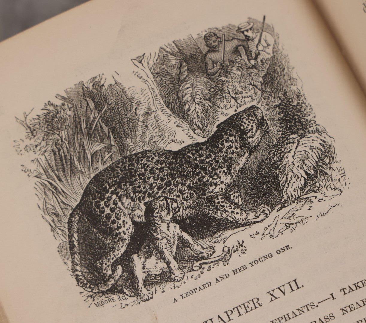 Lot 061 - "Stories Of The Gorilla Country, Narrated For Young People" Antique Book By Paul Du Chaillu, Illustrated, Gilded Gorilla Illustration On Cover, Harper & Brothers Publishers, New York, 1867