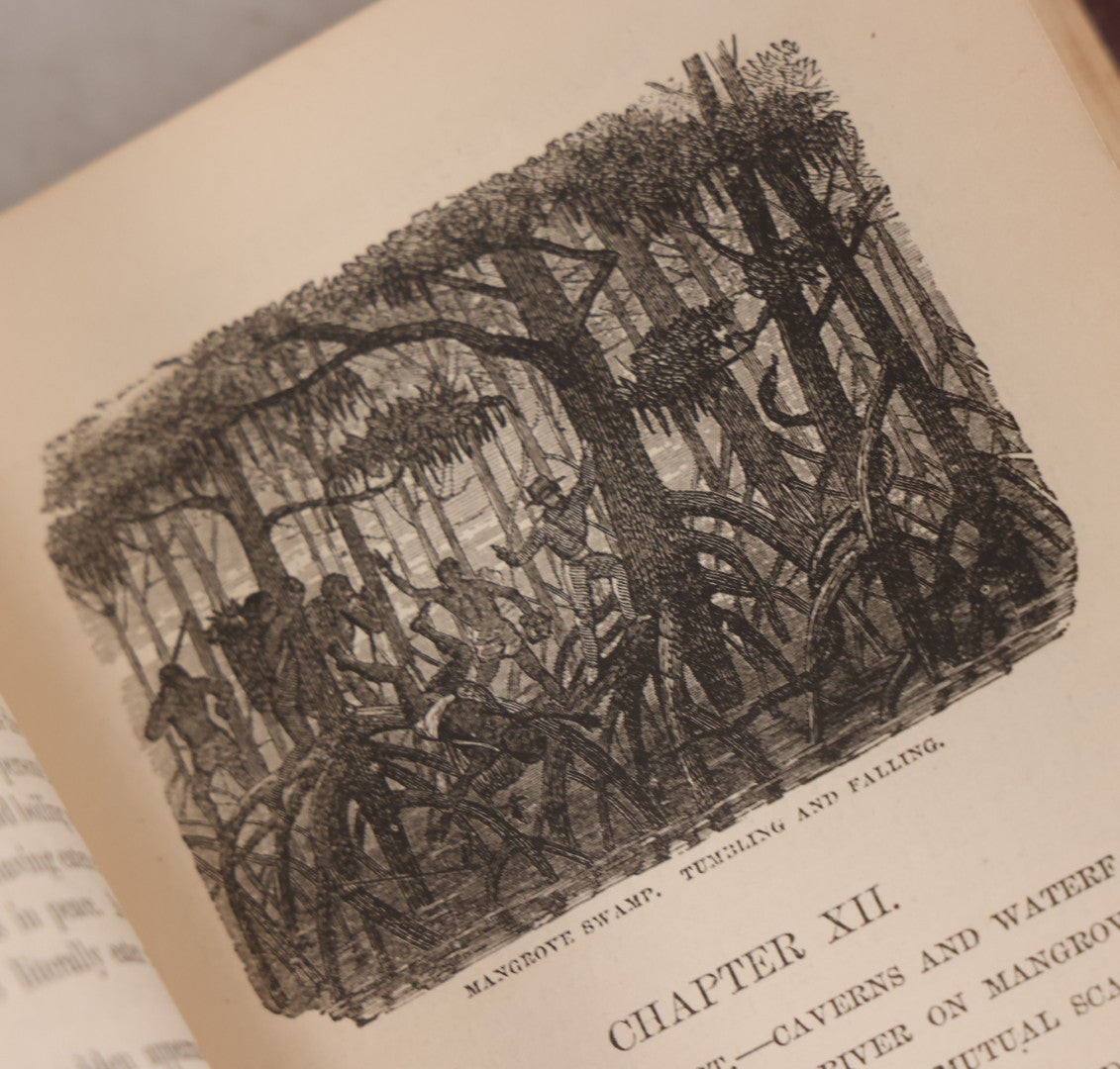 Lot 061 - "Stories Of The Gorilla Country, Narrated For Young People" Antique Book By Paul Du Chaillu, Illustrated, Gilded Gorilla Illustration On Cover, Harper & Brothers Publishers, New York, 1867