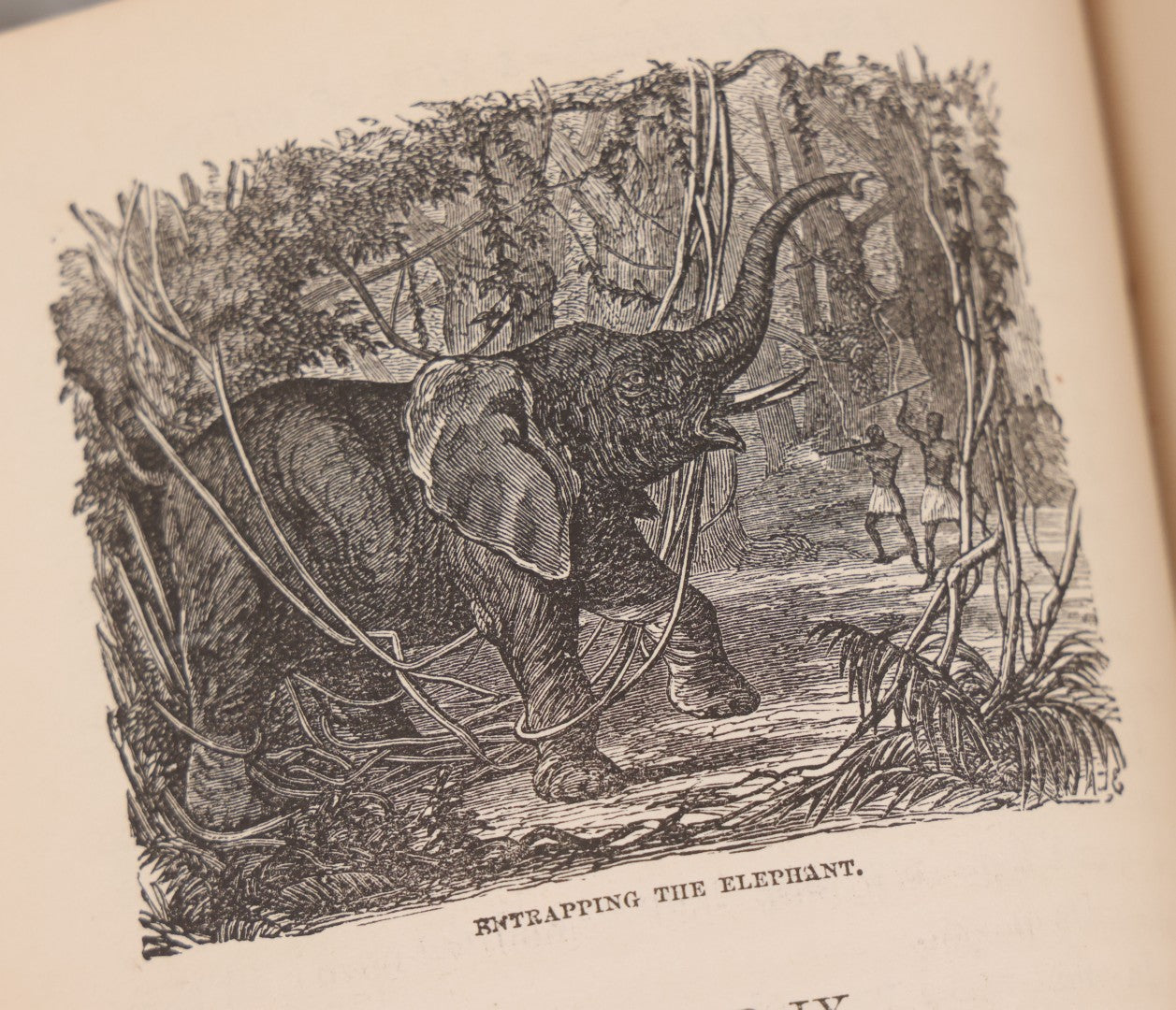 Lot 061 - "Stories Of The Gorilla Country, Narrated For Young People" Antique Book By Paul Du Chaillu, Illustrated, Gilded Gorilla Illustration On Cover, Harper & Brothers Publishers, New York, 1867