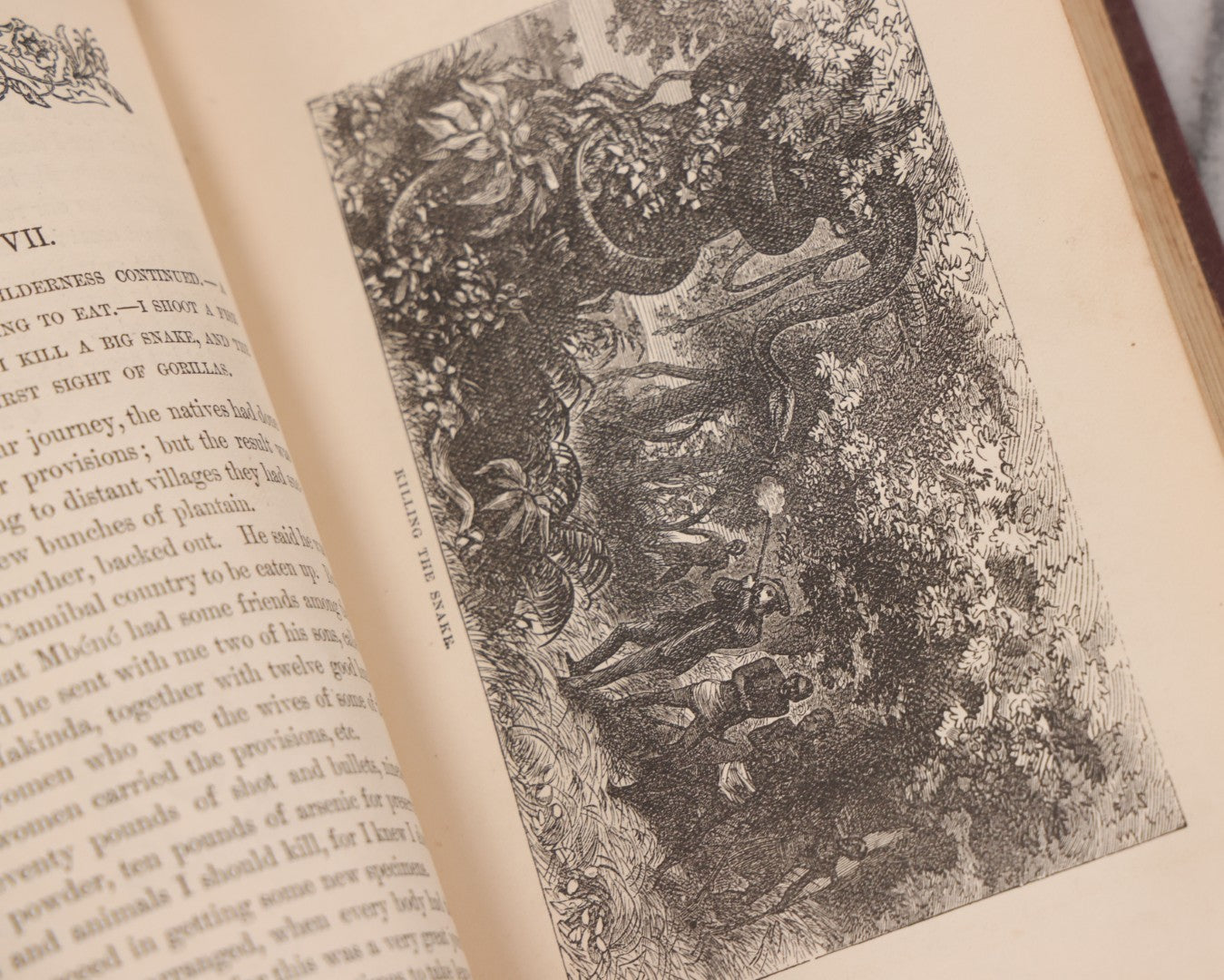 Lot 061 - "Stories Of The Gorilla Country, Narrated For Young People" Antique Book By Paul Du Chaillu, Illustrated, Gilded Gorilla Illustration On Cover, Harper & Brothers Publishers, New York, 1867