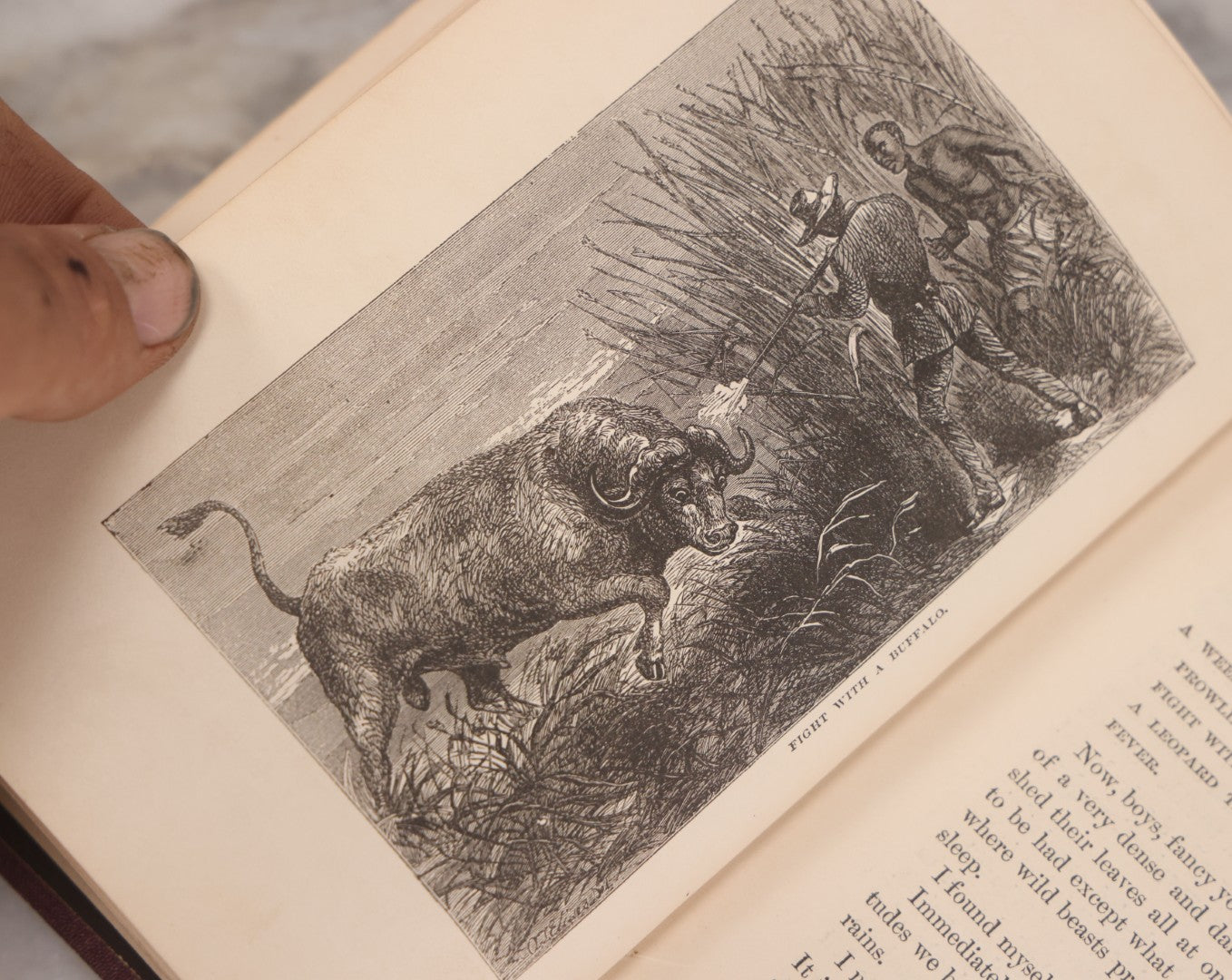 Lot 061 - "Stories Of The Gorilla Country, Narrated For Young People" Antique Book By Paul Du Chaillu, Illustrated, Gilded Gorilla Illustration On Cover, Harper & Brothers Publishers, New York, 1867