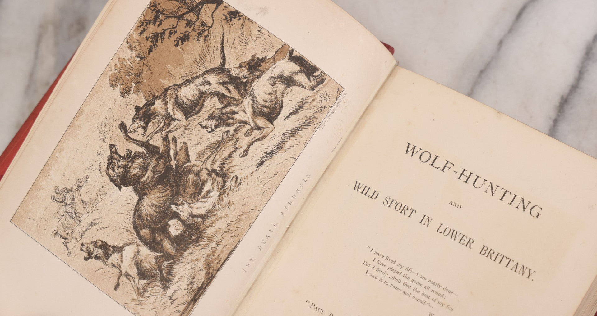Lot 062 - "Wolf-Hunting And Wild Sport In Lower Brittany" Antique Book By Edward William Lewis Davies, With Illustrations By Col. H. Hope Crealock, Chapman And Hall, Publishers, 1875, First Edition, High Quality Rebinding