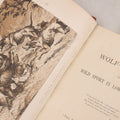 Lot 062 - "Wolf-Hunting And Wild Sport In Lower Brittany" Antique Book By Edward William Lewis Davies, With Illustrations By Col. H. Hope Crealock, Chapman And Hall, Publishers, 1875, First Edition, High Quality Rebinding