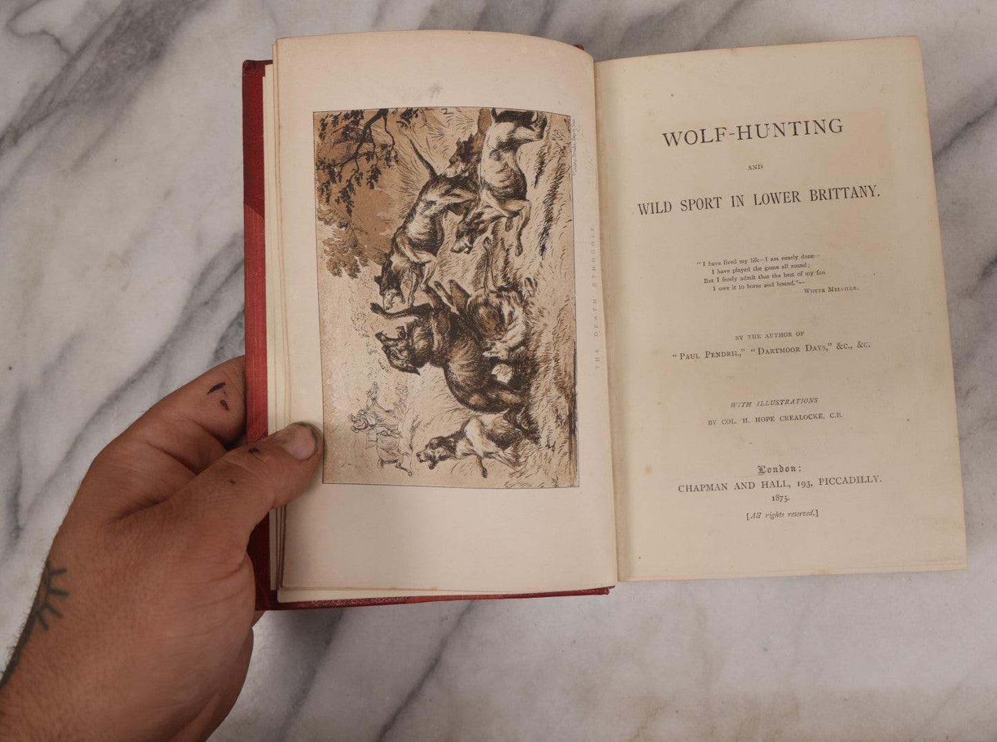 Lot 062 - "Wolf-Hunting And Wild Sport In Lower Brittany" Antique Book By Edward William Lewis Davies, With Illustrations By Col. H. Hope Crealock, Chapman And Hall, Publishers, 1875, First Edition, High Quality Rebinding