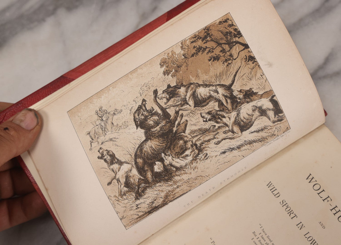 Lot 062 - "Wolf-Hunting And Wild Sport In Lower Brittany" Antique Book By Edward William Lewis Davies, With Illustrations By Col. H. Hope Crealock, Chapman And Hall, Publishers, 1875, First Edition, High Quality Rebinding