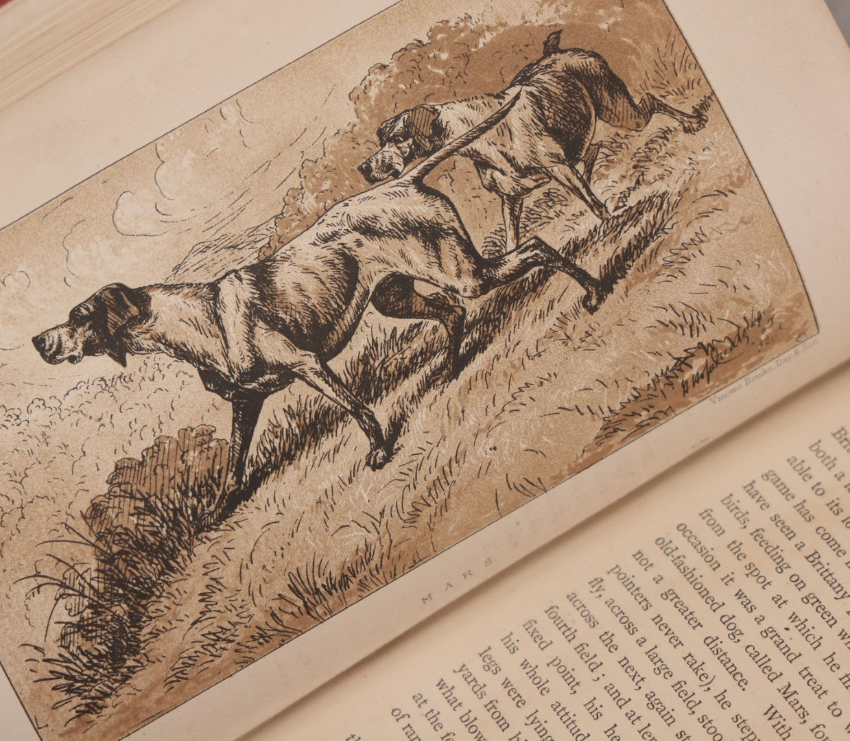 Lot 062 - "Wolf-Hunting And Wild Sport In Lower Brittany" Antique Book By Edward William Lewis Davies, With Illustrations By Col. H. Hope Crealock, Chapman And Hall, Publishers, 1875, First Edition, High Quality Rebinding