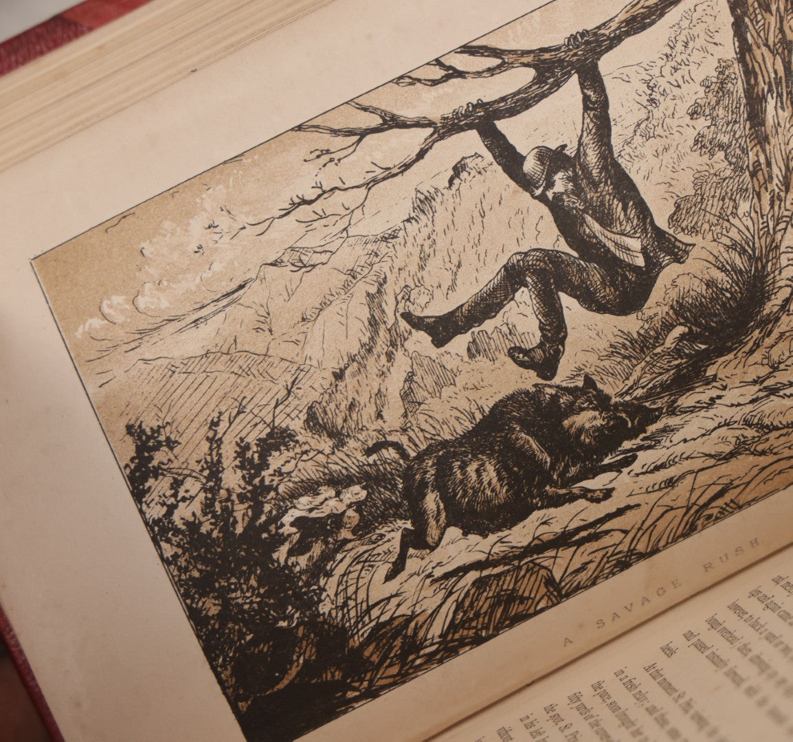 Lot 062 - "Wolf-Hunting And Wild Sport In Lower Brittany" Antique Book By Edward William Lewis Davies, With Illustrations By Col. H. Hope Crealock, Chapman And Hall, Publishers, 1875, First Edition, High Quality Rebinding