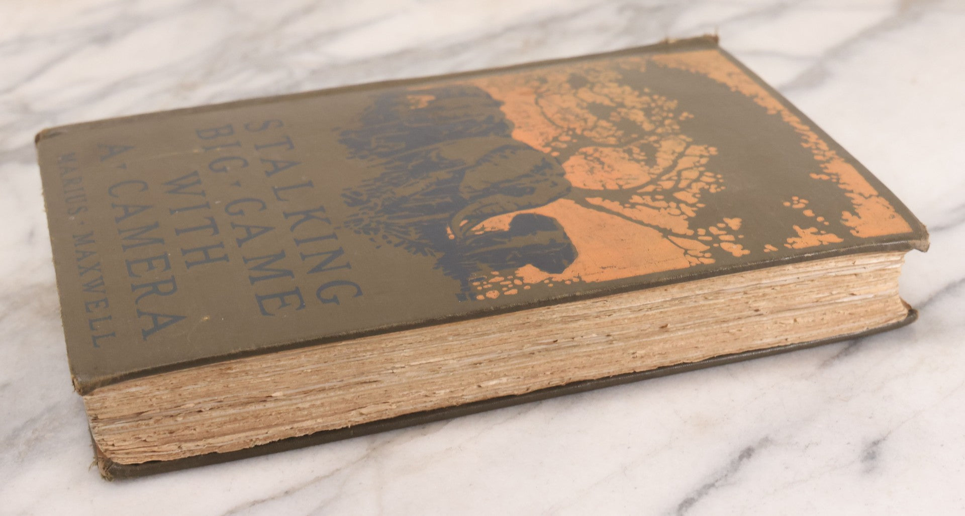 Lot 063 - "Stalking Big Game With A Camera In Equatorial Africa With A Monograph On The African Elephant" Antique Book By Marius Maxwell, Illustrated From Photographs By The Author, The Century Co., New York & London, 1924, First U.S. Edition