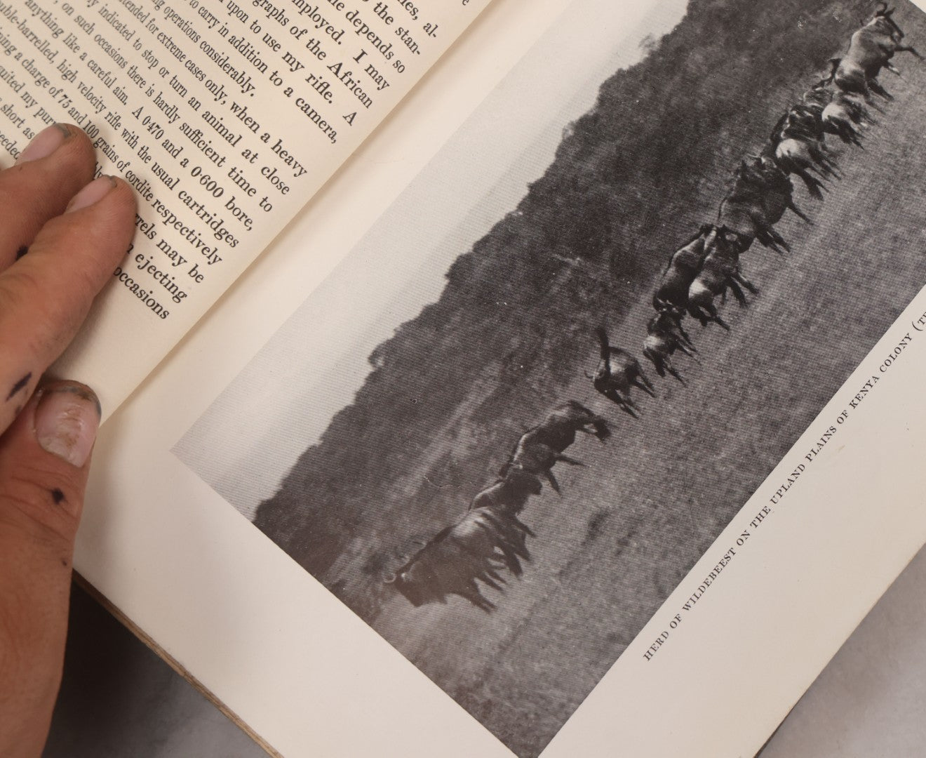 Lot 063 - "Stalking Big Game With A Camera In Equatorial Africa With A Monograph On The African Elephant" Antique Book By Marius Maxwell, Illustrated From Photographs By The Author, The Century Co., New York & London, 1924, First U.S. Edition