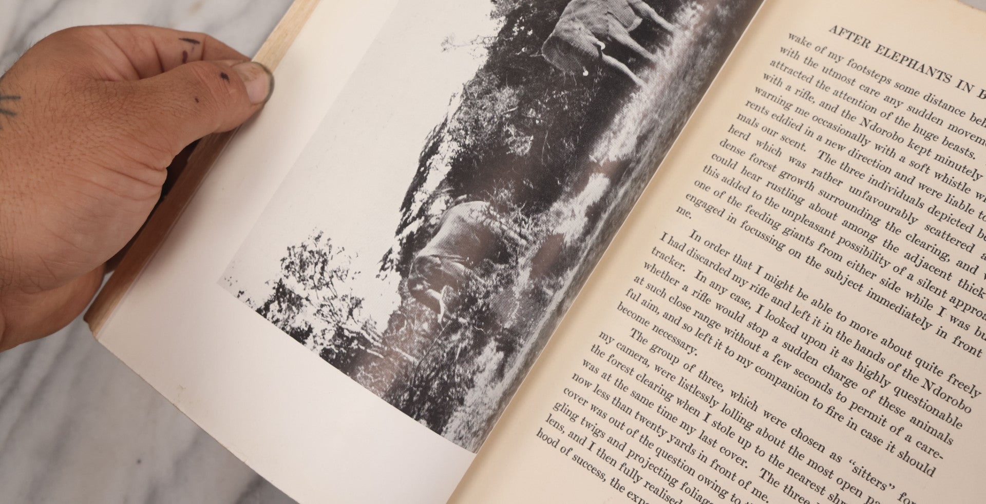 Lot 063 - "Stalking Big Game With A Camera In Equatorial Africa With A Monograph On The African Elephant" Antique Book By Marius Maxwell, Illustrated From Photographs By The Author, The Century Co., New York & London, 1924, First U.S. Edition