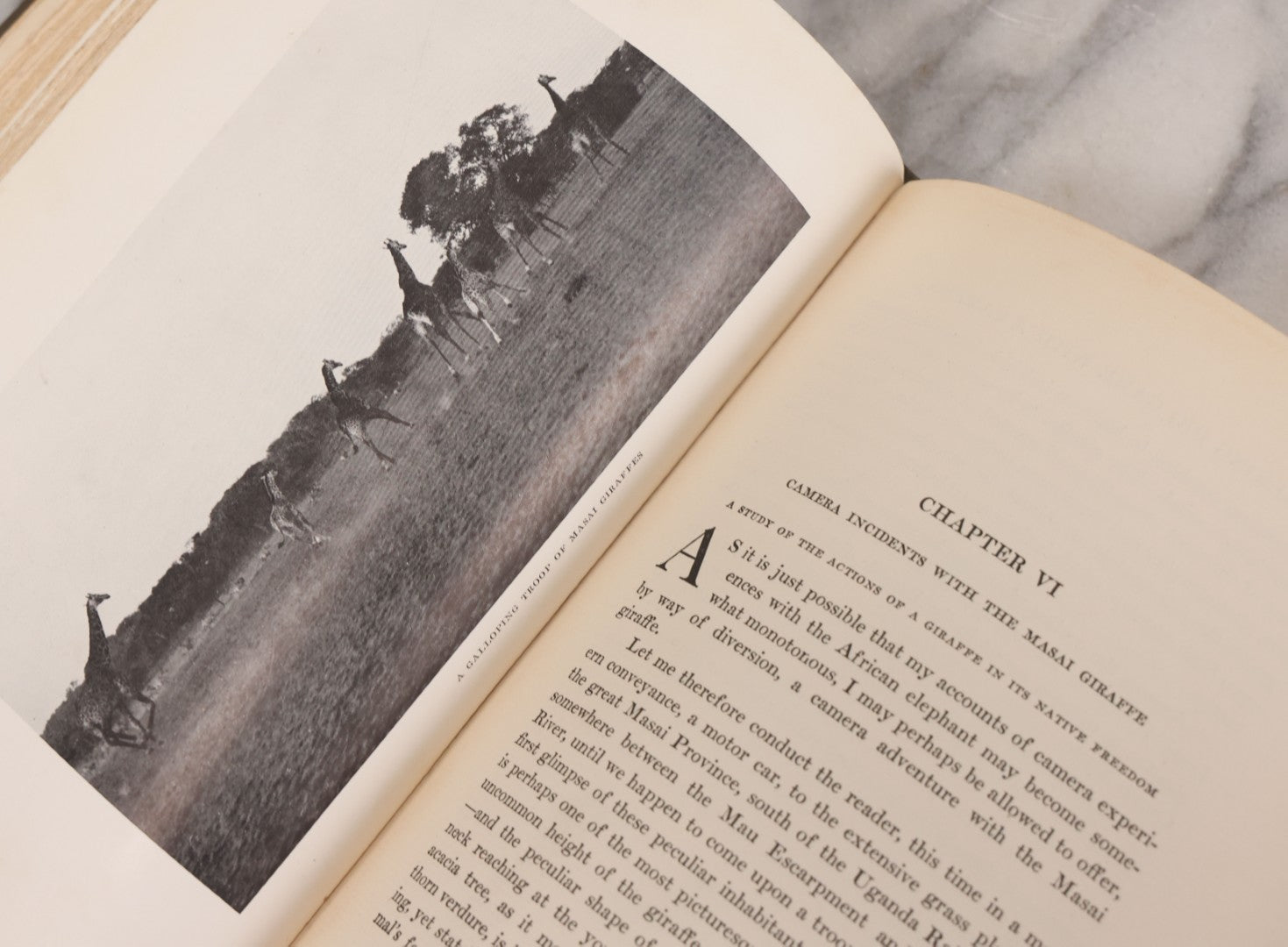 Lot 063 - "Stalking Big Game With A Camera In Equatorial Africa With A Monograph On The African Elephant" Antique Book By Marius Maxwell, Illustrated From Photographs By The Author, The Century Co., New York & London, 1924, First U.S. Edition