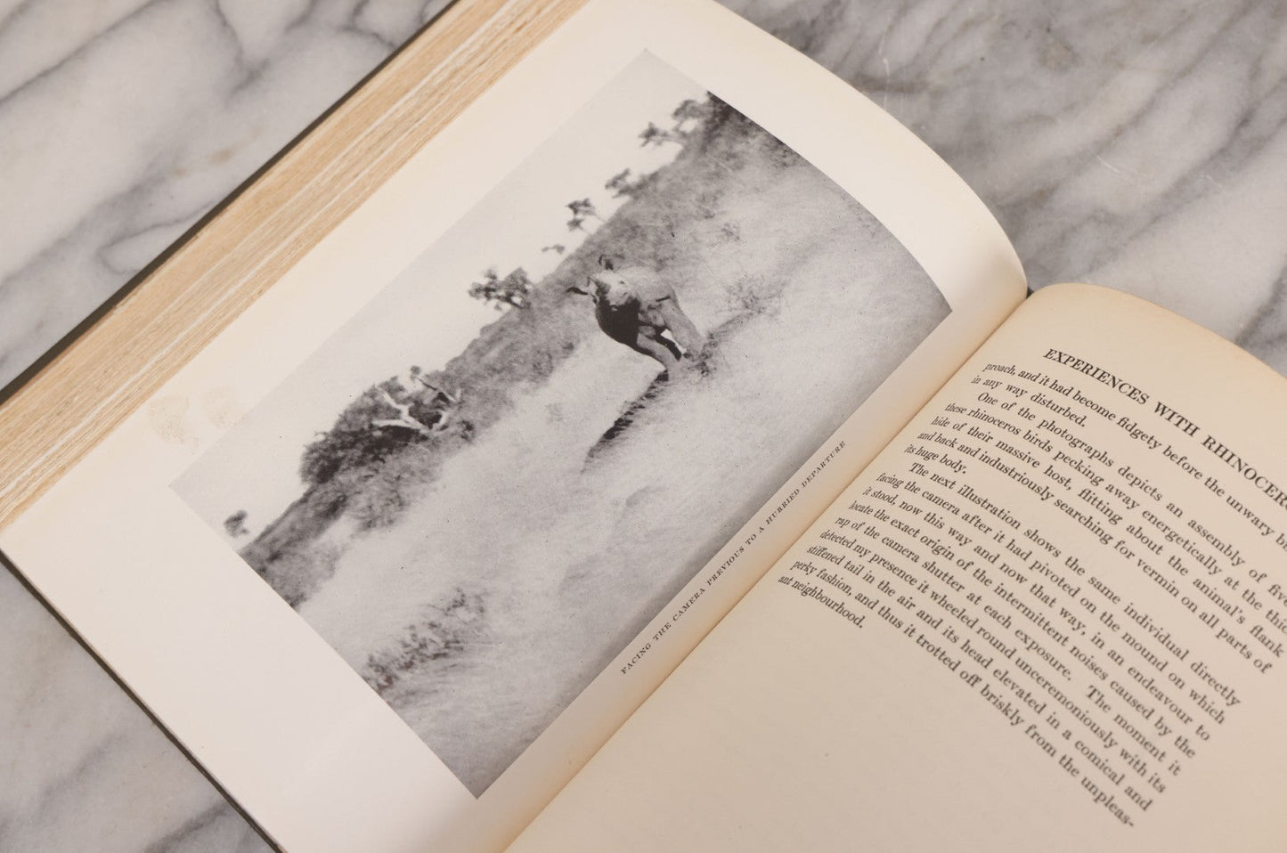 Lot 063 - "Stalking Big Game With A Camera In Equatorial Africa With A Monograph On The African Elephant" Antique Book By Marius Maxwell, Illustrated From Photographs By The Author, The Century Co., New York & London, 1924, First U.S. Edition