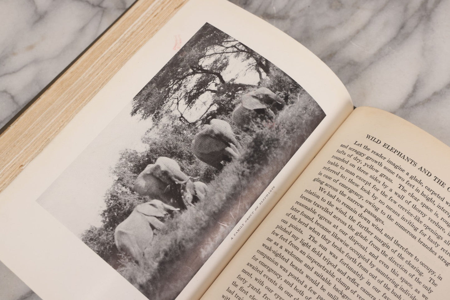 Lot 063 - "Stalking Big Game With A Camera In Equatorial Africa With A Monograph On The African Elephant" Antique Book By Marius Maxwell, Illustrated From Photographs By The Author, The Century Co., New York & London, 1924, First U.S. Edition