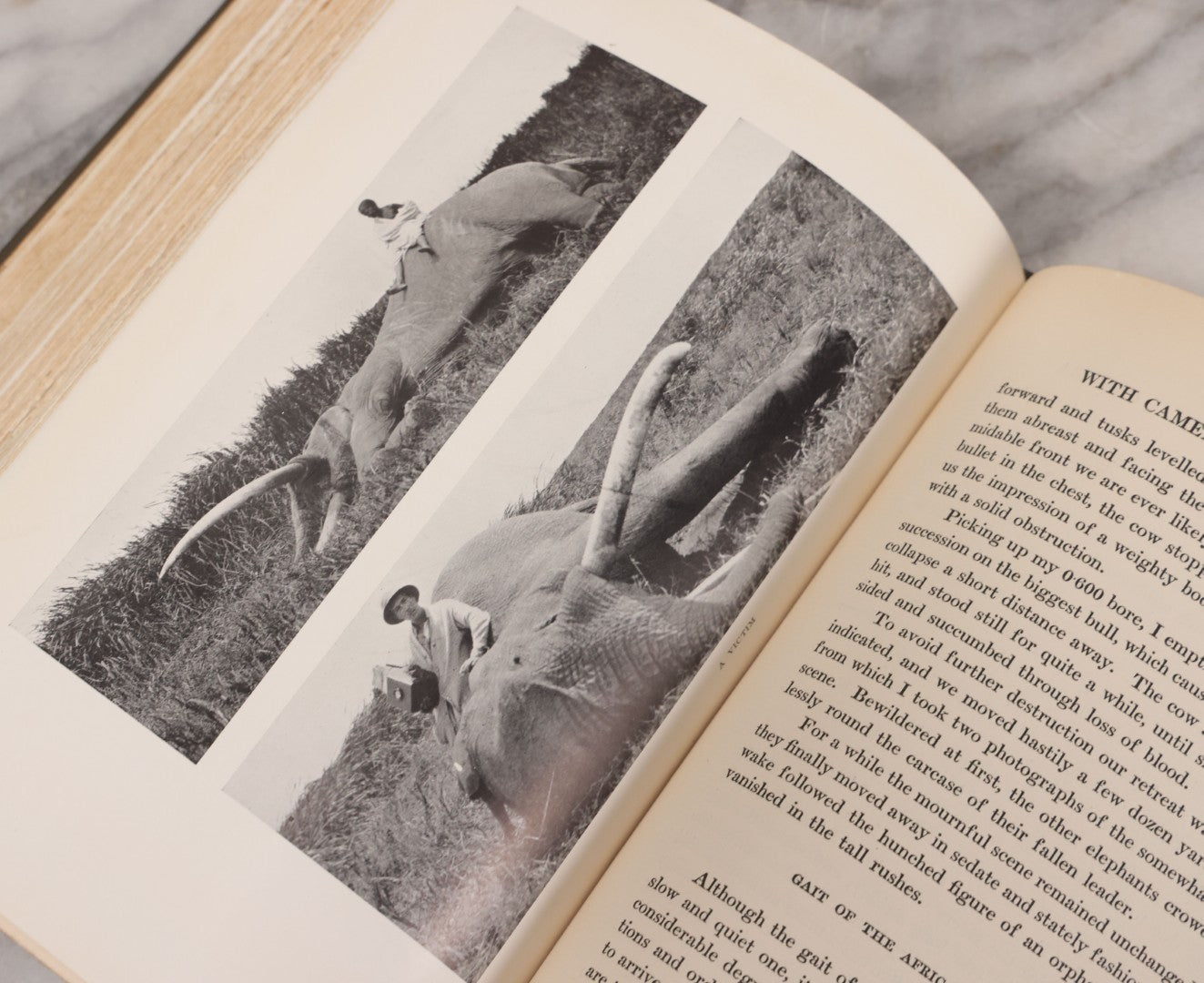 Lot 063 - "Stalking Big Game With A Camera In Equatorial Africa With A Monograph On The African Elephant" Antique Book By Marius Maxwell, Illustrated From Photographs By The Author, The Century Co., New York & London, 1924, First U.S. Edition