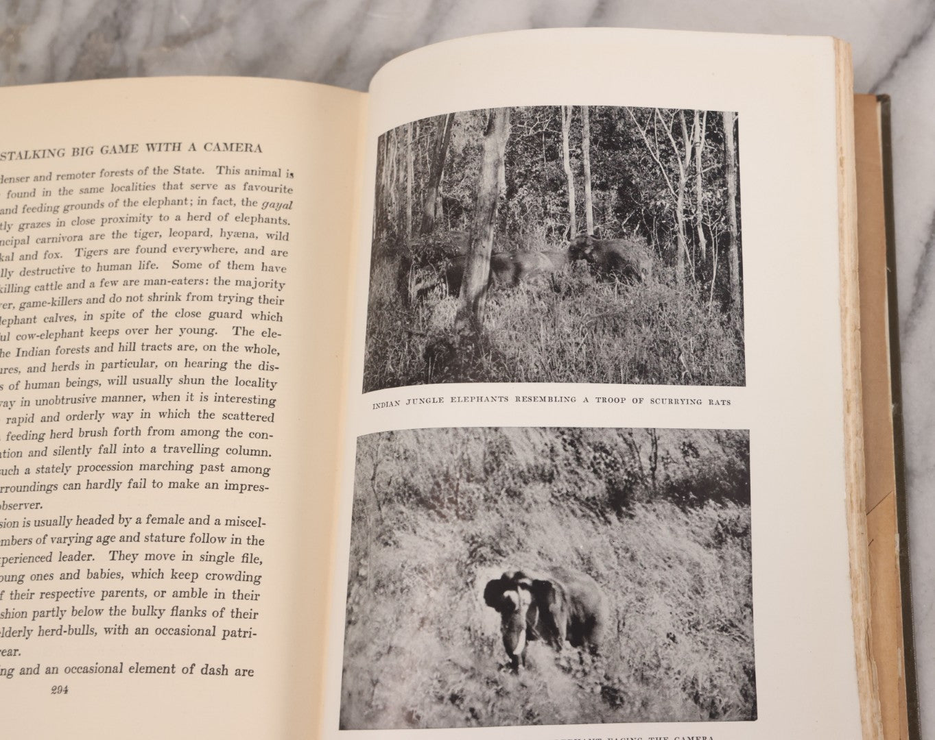 Lot 063 - "Stalking Big Game With A Camera In Equatorial Africa With A Monograph On The African Elephant" Antique Book By Marius Maxwell, Illustrated From Photographs By The Author, The Century Co., New York & London, 1924, First U.S. Edition
