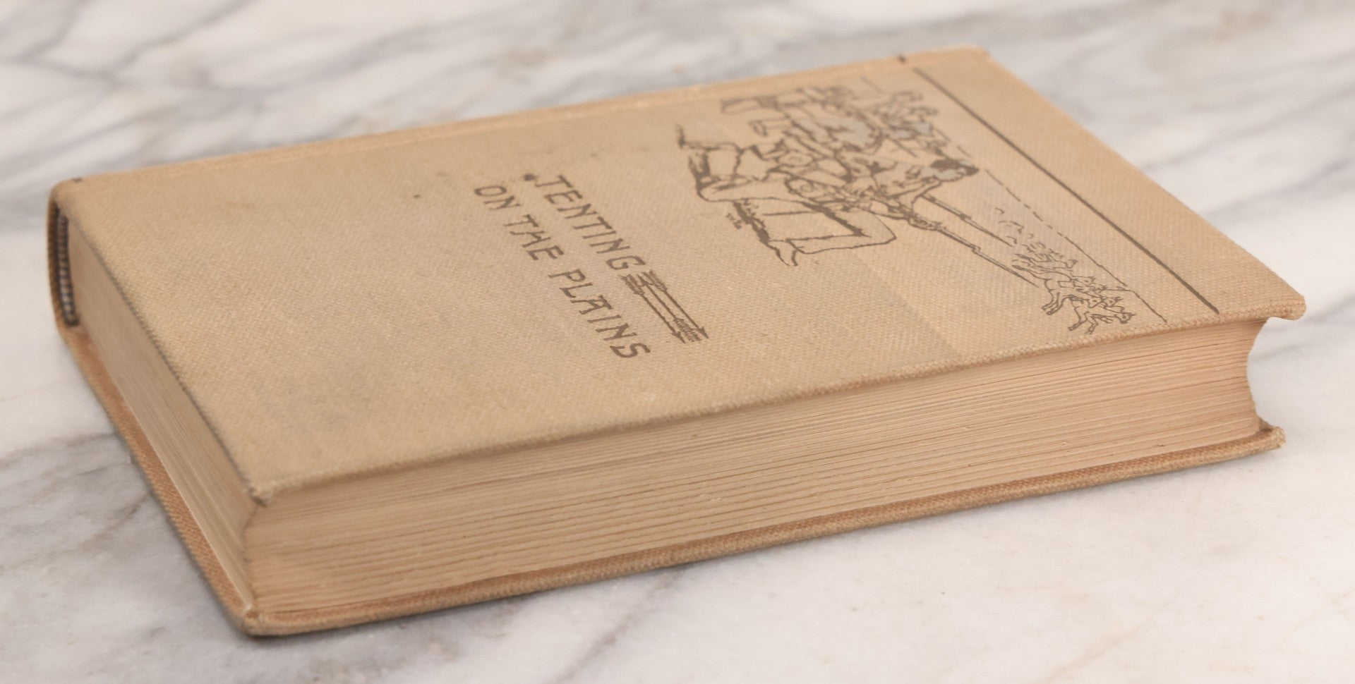 Lot 070 - "Tenting On The Plains, Or General Custer In Kansas And Texas" Antique Book By Elizabeth B. Custer, Widow Of General George Armstrong Custer, With Mrs. Custer's Obituary, Illustrated, Charles L. Webster & Co., Publishers, 1893