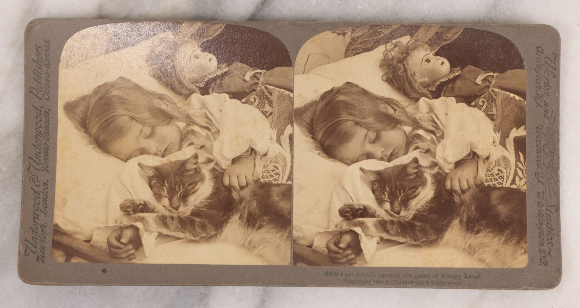Lot 085 - Single Antique Stereoview Stereo Card, Photo Of Girl Sleeping With Cat And Doll, "No. 6959 - Fast Friends Passing The Gates Of Sleepy Land," Copyright 1905 By Underwood & Underwood