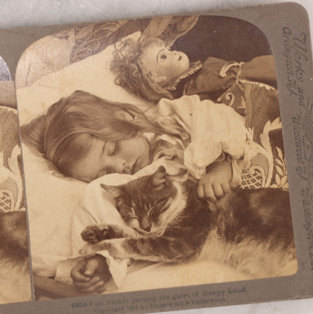 Lot 085 - Single Antique Stereoview Stereo Card, Photo Of Girl Sleeping With Cat And Doll, "No. 6959 - Fast Friends Passing The Gates Of Sleepy Land," Copyright 1905 By Underwood & Underwood