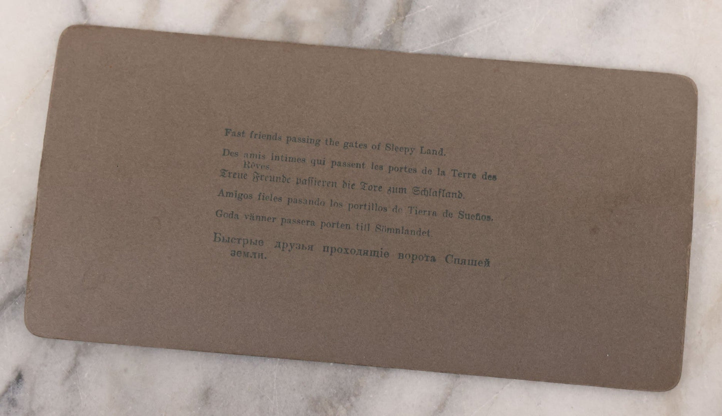 Lot 085 - Single Antique Stereoview Stereo Card, Photo Of Girl Sleeping With Cat And Doll, "No. 6959 - Fast Friends Passing The Gates Of Sleepy Land," Copyright 1905 By Underwood & Underwood