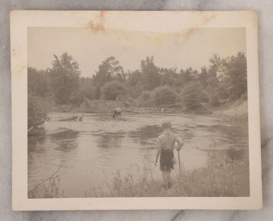 Lot 101 - Single Antique Snapshot Photograph Of A Young Boy Watching A Deer Have A Drink In A River