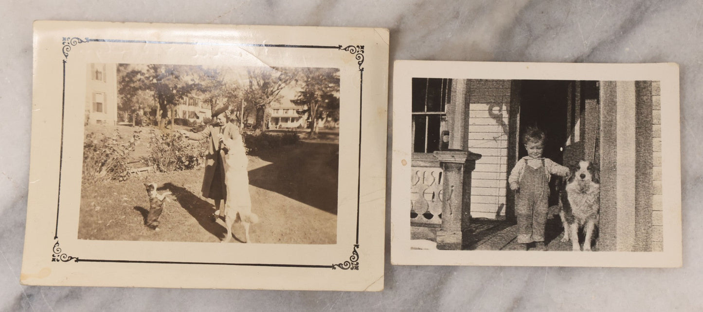 Lot 106 - Grouping Of Seven Antique And Vintage Snapshot Photographs Of People And Their Animals, Including Begging Boston Terrier, Pitbull Puppy, Chicken, Cow, And Mini Horse