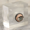 Lot 026 - Vintage Novelty Eyeball Lucite Paperweight, Eye Opens And Closes