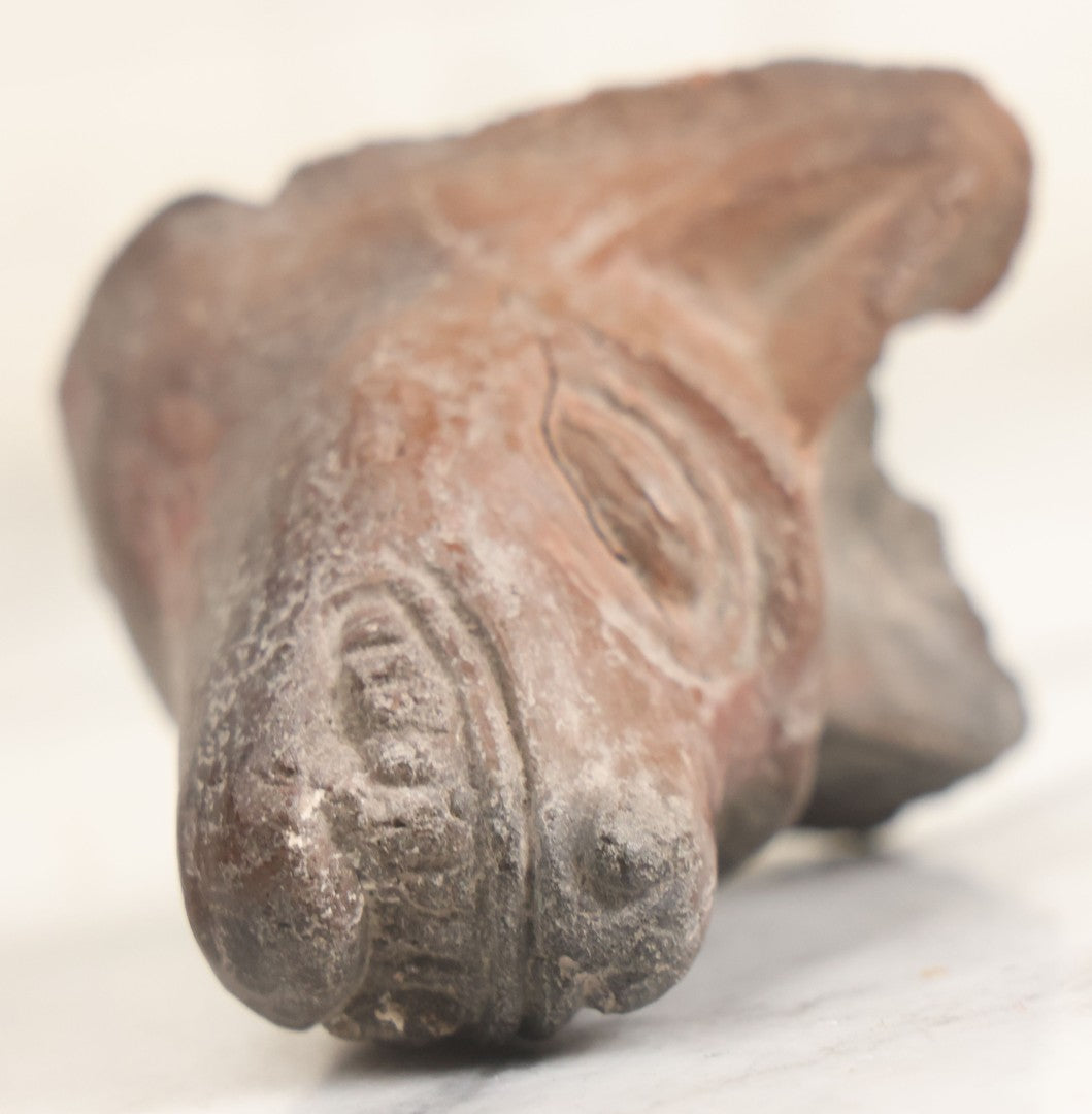 Lot 039 - Vintage Replica Pre-Columbian Style Mesoamerican Artifact, Wolf Canine Head Bearing Teeth Circa Mid-20th Century