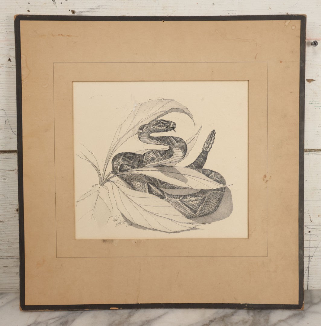 Lot 041 - Vintage Pen And Ink Rattlesnake Illustration On Artist Board With Custom Mat, Artist Signed Paul Carrier, Dated 1975, Unframed