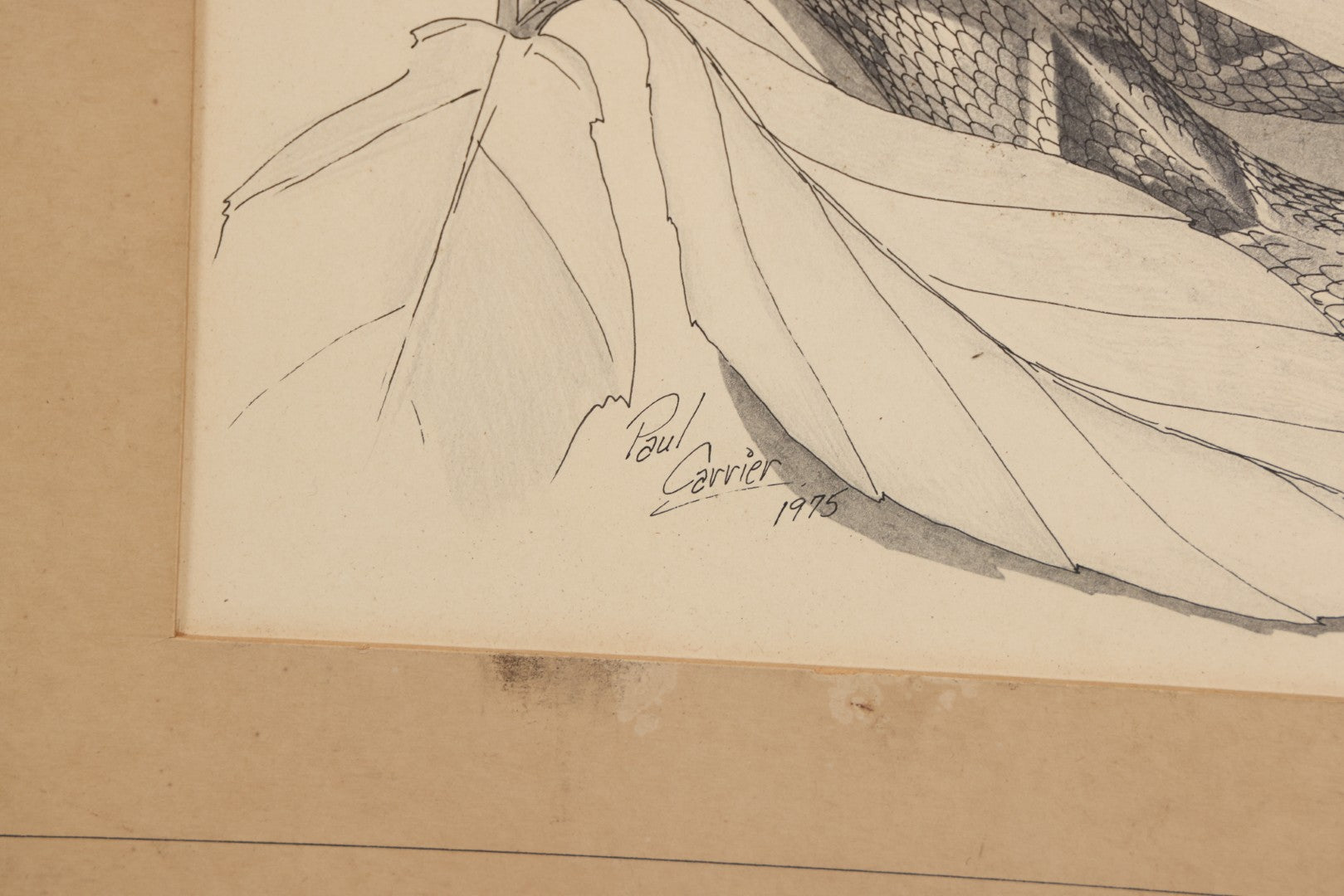 Lot 041 - Vintage Pen And Ink Rattlesnake Illustration On Artist Board With Custom Mat, Artist Signed Paul Carrier, Dated 1975, Unframed
