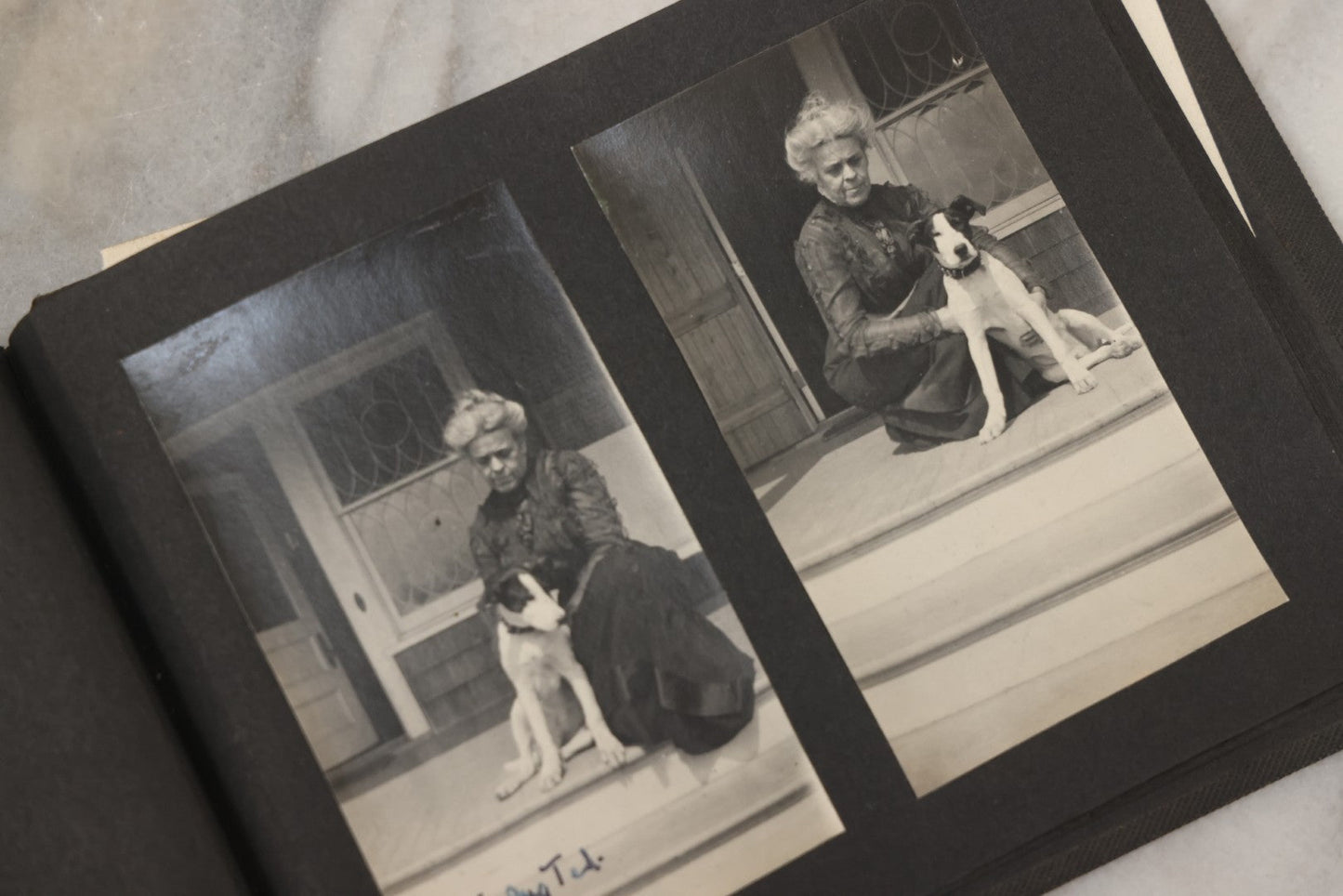Lot 051 - Antique Snapshot Photo Album With 30+ Photographs Mostly Of Beloved Pets Including Dogs Named Beau, Naw, Ted, And Taffy, Cats Named Angel And Boo, And A Horse Name Rachet, Photos Taken In And Around Lily Pond, East Hampton, New York