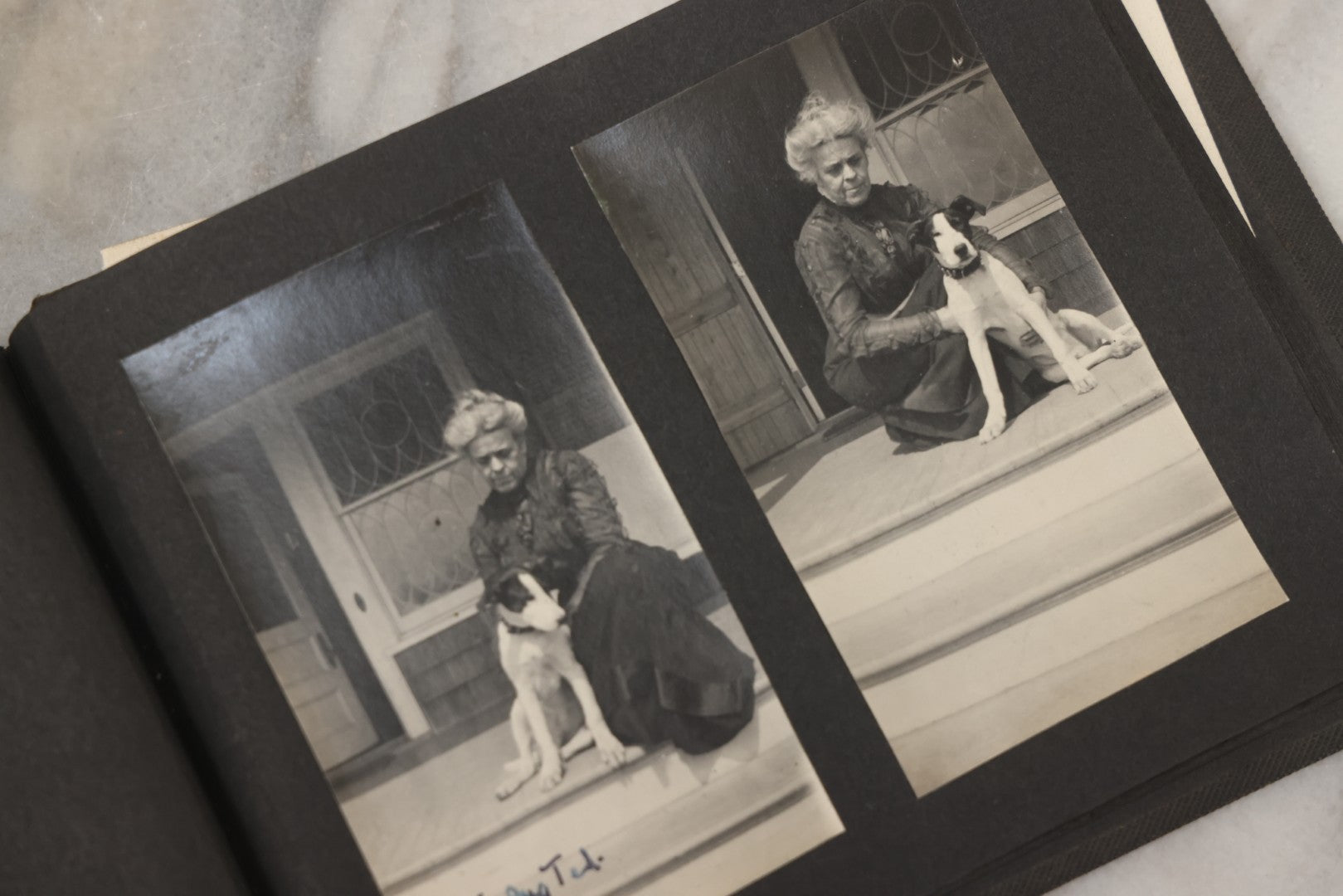 Lot 051 - Antique Snapshot Photo Album With 30+ Photographs Mostly Of Beloved Pets Including Dogs Named Beau, Naw, Ted, And Taffy, Cats Named Angel And Boo, And A Horse Name Rachet, Photos Taken In And Around Lily Pond, East Hampton, New York