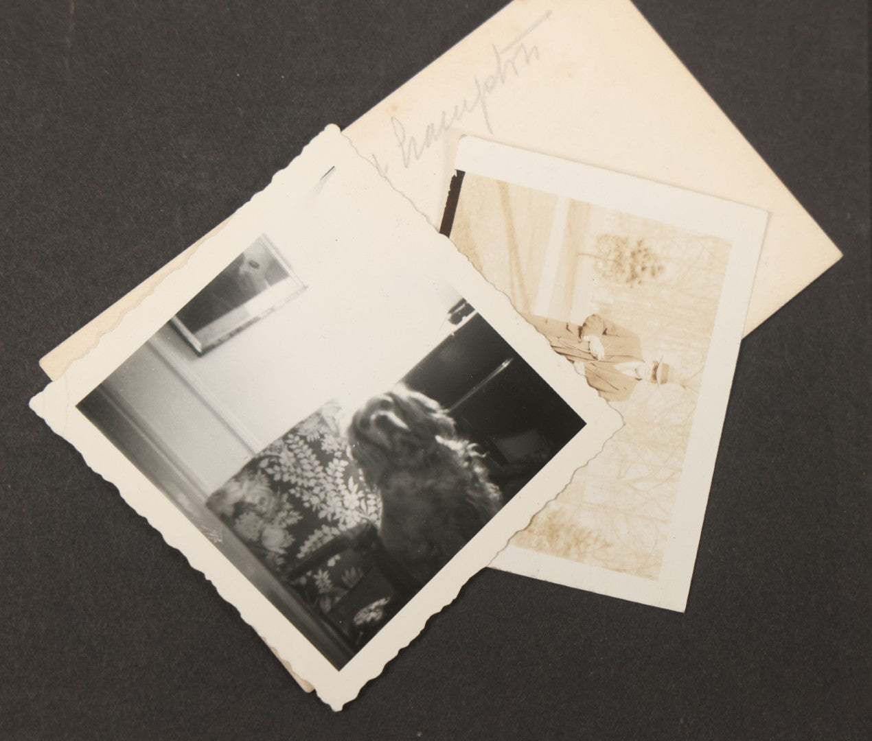 Lot 051 - Antique Snapshot Photo Album With 30+ Photographs Mostly Of Beloved Pets Including Dogs Named Beau, Naw, Ted, And Taffy, Cats Named Angel And Boo, And A Horse Name Rachet, Photos Taken In And Around Lily Pond, East Hampton, New York
