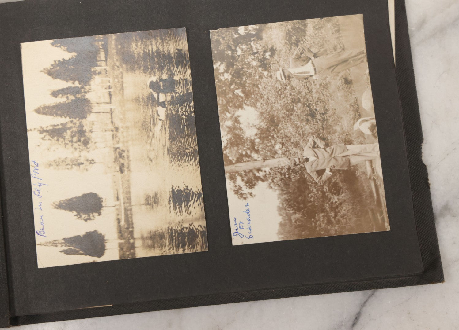 Lot 051 - Antique Snapshot Photo Album With 30+ Photographs Mostly Of Beloved Pets Including Dogs Named Beau, Naw, Ted, And Taffy, Cats Named Angel And Boo, And A Horse Name Rachet, Photos Taken In And Around Lily Pond, East Hampton, New York