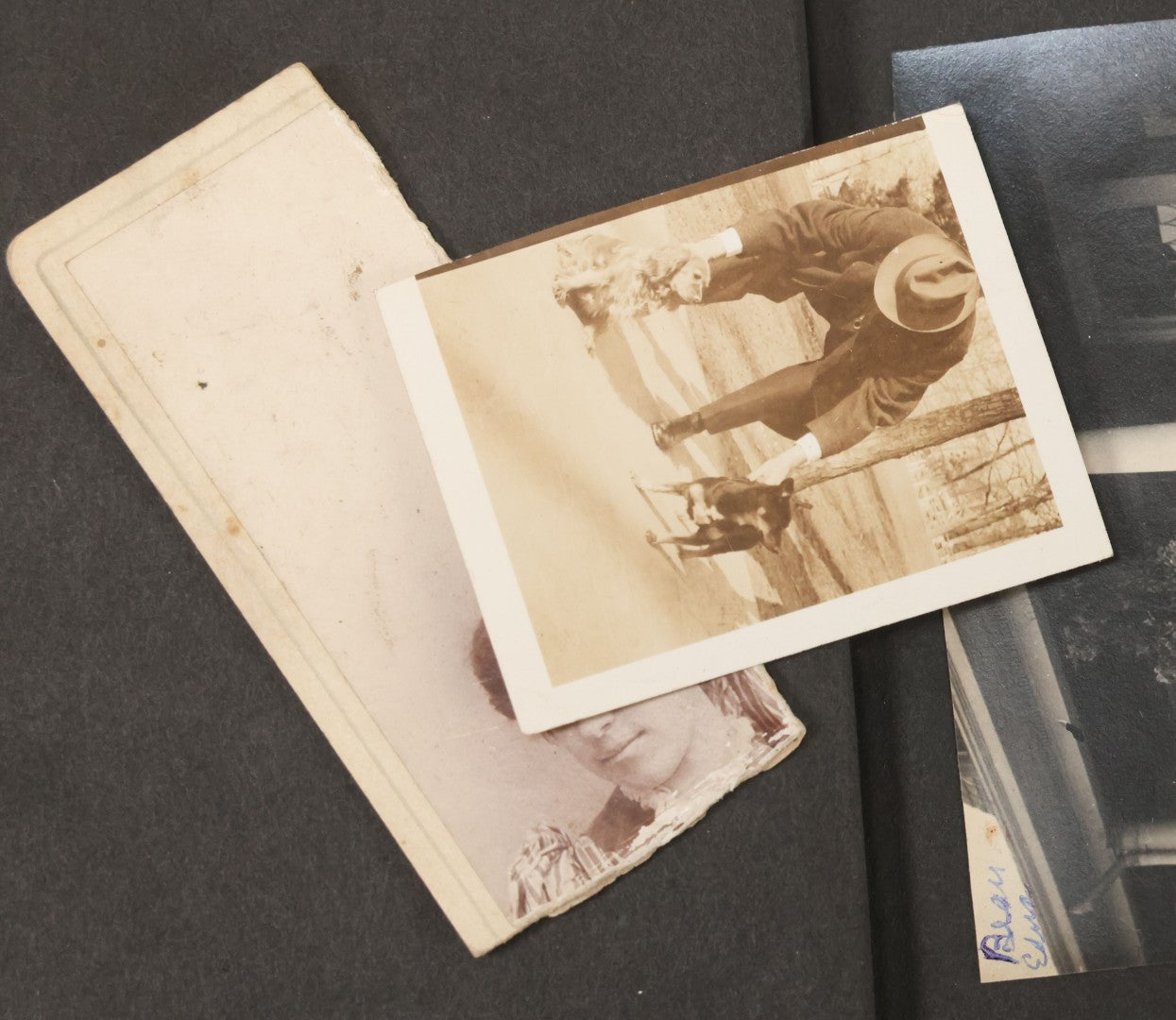 Lot 051 - Antique Snapshot Photo Album With 30+ Photographs Mostly Of Beloved Pets Including Dogs Named Beau, Naw, Ted, And Taffy, Cats Named Angel And Boo, And A Horse Name Rachet, Photos Taken In And Around Lily Pond, East Hampton, New York