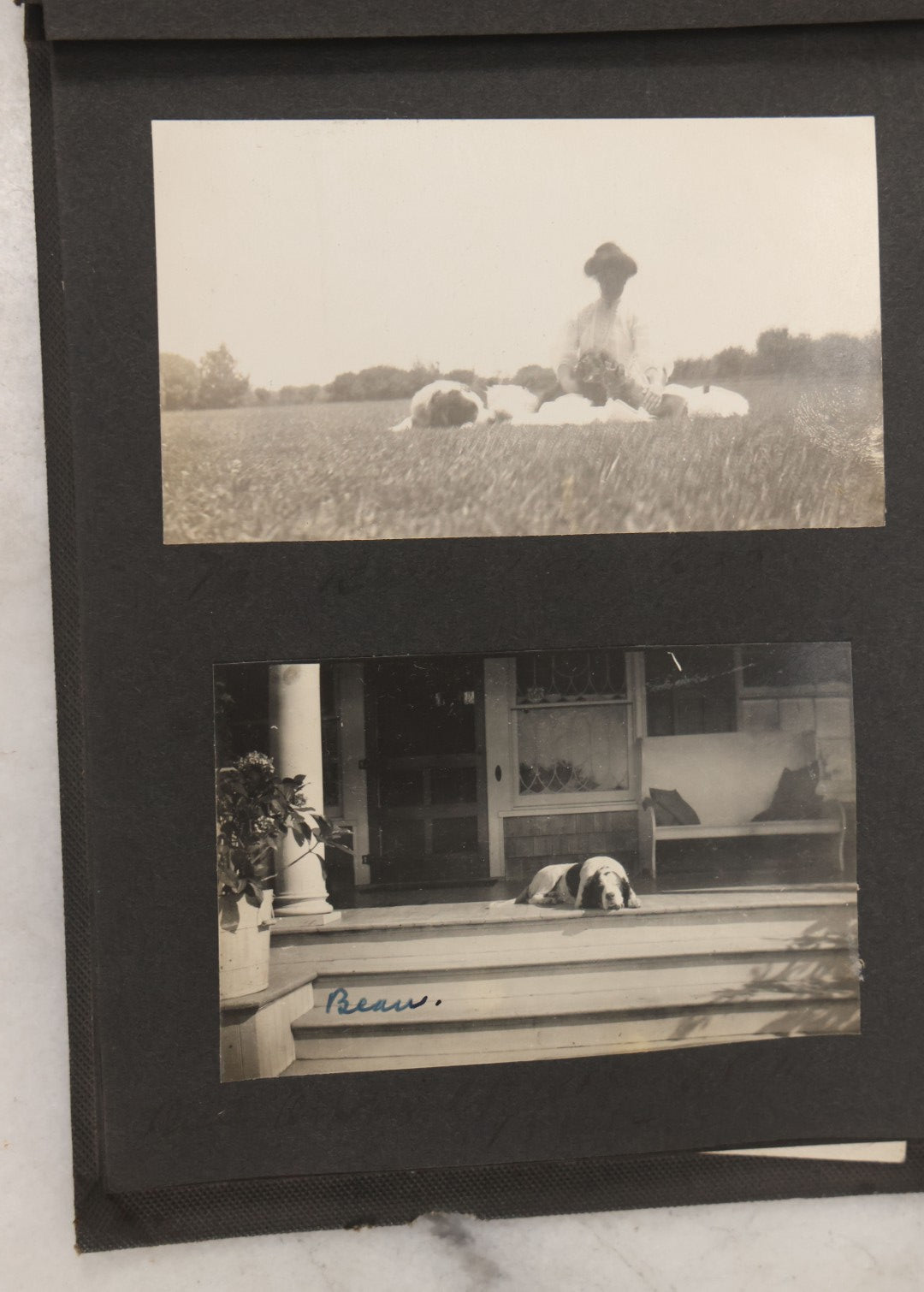 Lot 051 - Antique Snapshot Photo Album With 30+ Photographs Mostly Of Beloved Pets Including Dogs Named Beau, Naw, Ted, And Taffy, Cats Named Angel And Boo, And A Horse Name Rachet, Photos Taken In And Around Lily Pond, East Hampton, New York