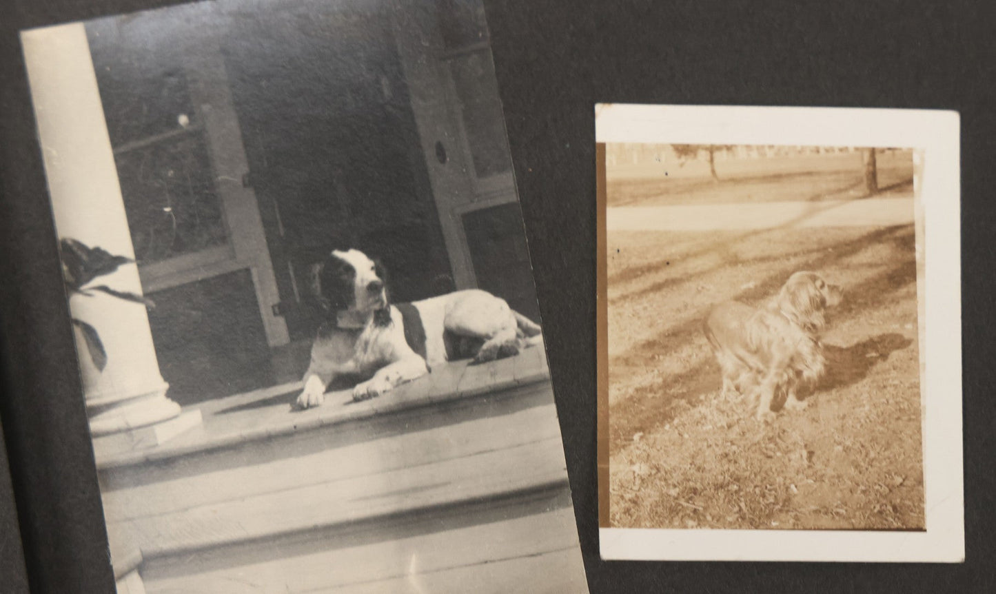 Lot 051 - Antique Snapshot Photo Album With 30+ Photographs Mostly Of Beloved Pets Including Dogs Named Beau, Naw, Ted, And Taffy, Cats Named Angel And Boo, And A Horse Name Rachet, Photos Taken In And Around Lily Pond, East Hampton, New York
