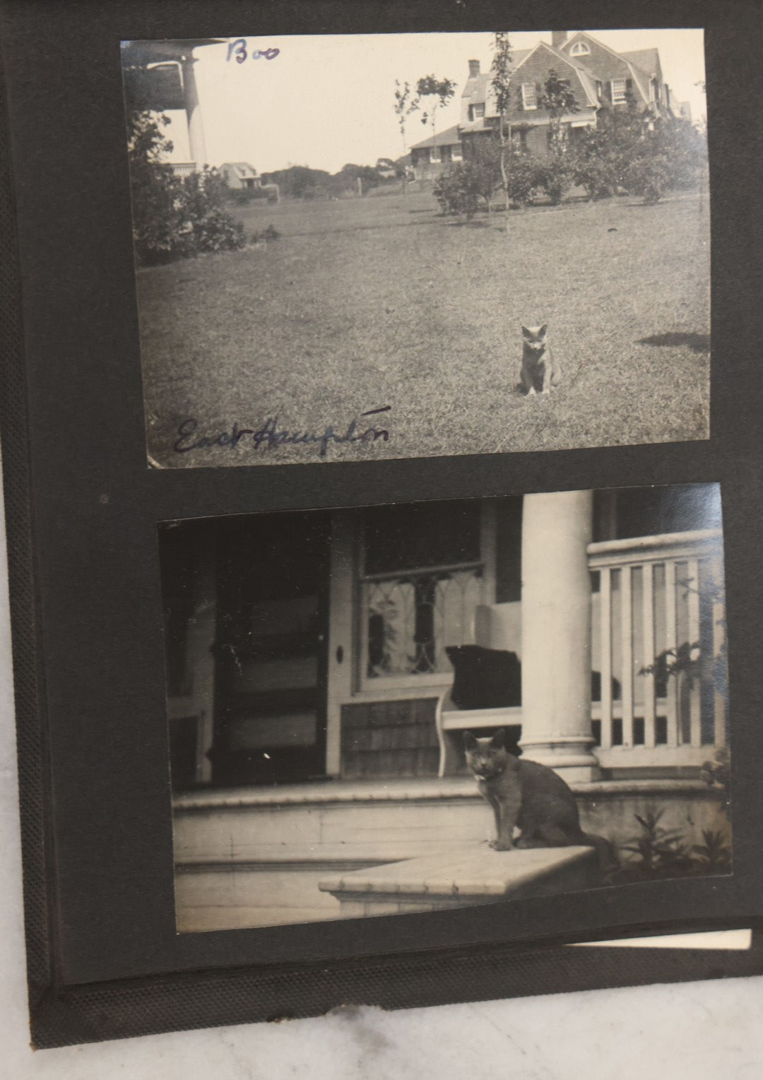Lot 051 - Antique Snapshot Photo Album With 30+ Photographs Mostly Of Beloved Pets Including Dogs Named Beau, Naw, Ted, And Taffy, Cats Named Angel And Boo, And A Horse Name Rachet, Photos Taken In And Around Lily Pond, East Hampton, New York