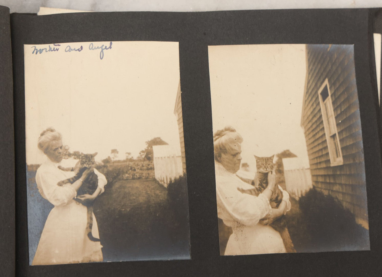 Lot 051 - Antique Snapshot Photo Album With 30+ Photographs Mostly Of Beloved Pets Including Dogs Named Beau, Naw, Ted, And Taffy, Cats Named Angel And Boo, And A Horse Name Rachet, Photos Taken In And Around Lily Pond, East Hampton, New York