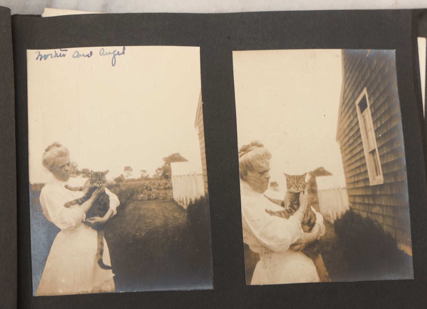 Lot 051 - Antique Snapshot Photo Album With 30+ Photographs Mostly Of Beloved Pets Including Dogs Named Beau, Naw, Ted, And Taffy, Cats Named Angel And Boo, And A Horse Name Rachet, Photos Taken In And Around Lily Pond, East Hampton, New York